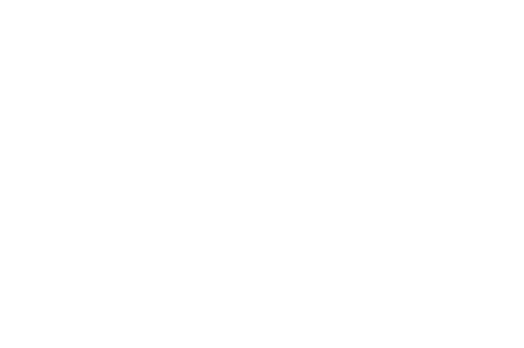 OFFICIAL SELECTION - London International Film Festival - 2021.png