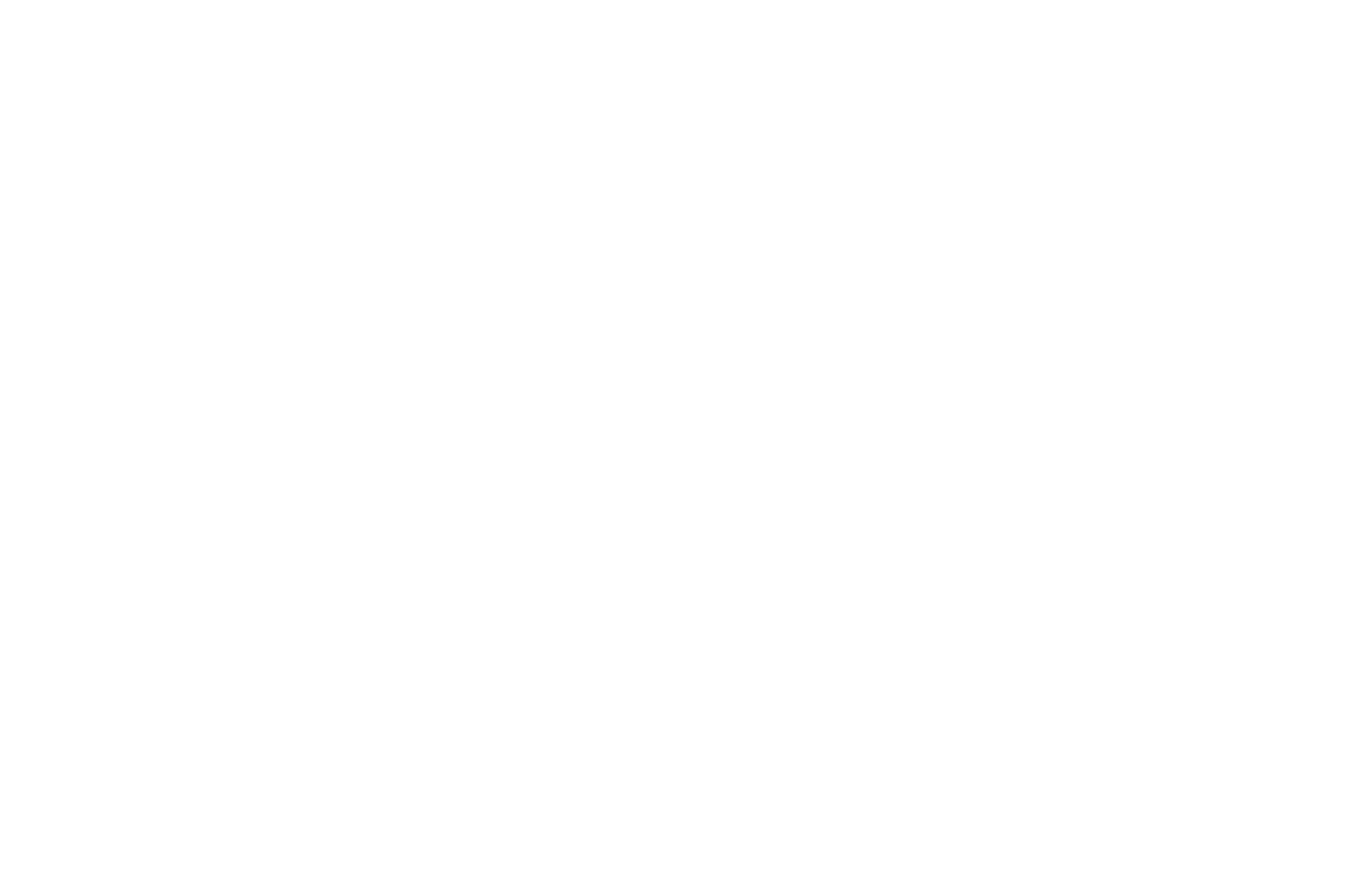OFFICIAL SELECTION - Milan International Film Festival - 2020.png
