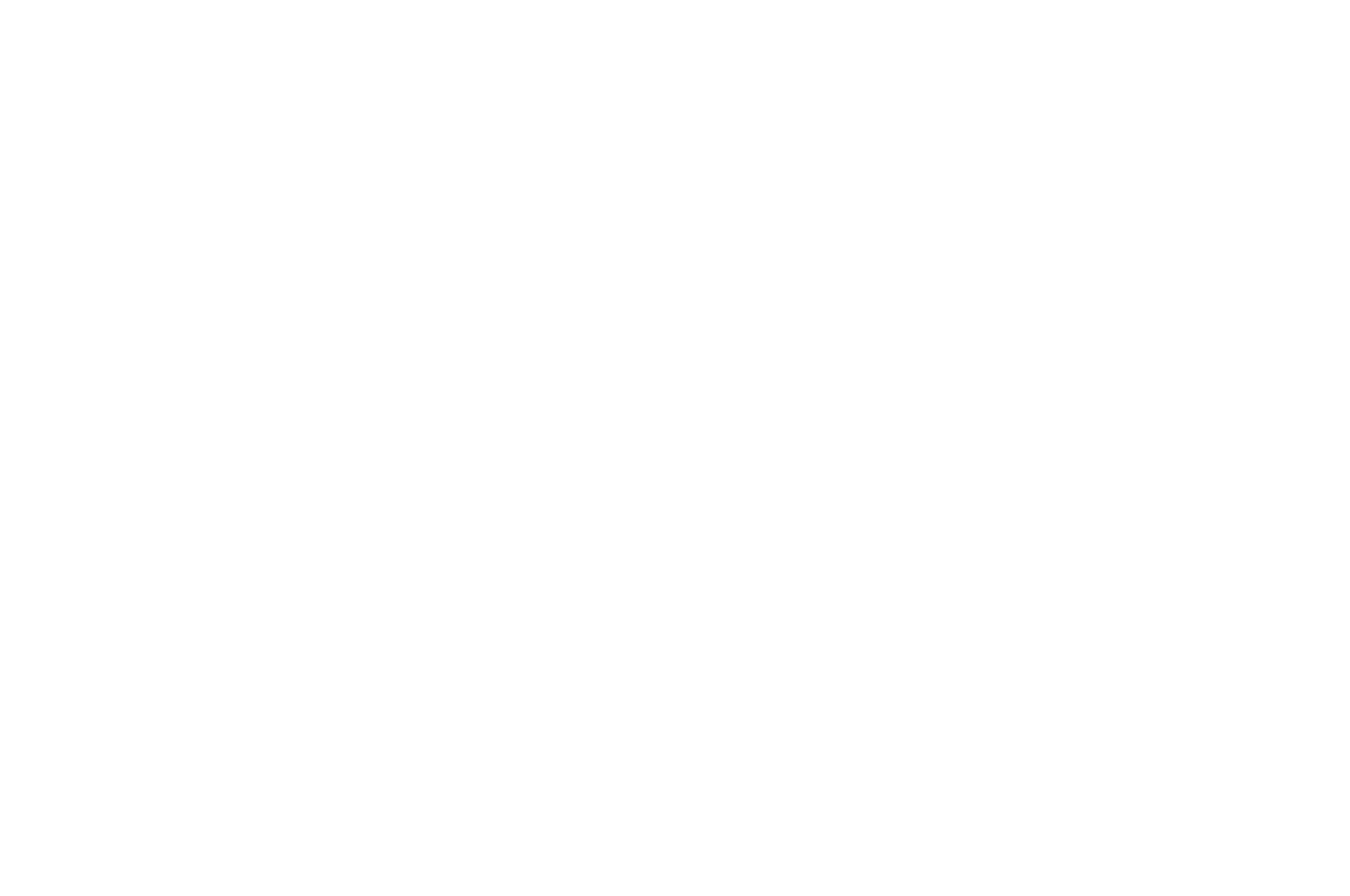 OFFICIAL SELECTION - Nice International Film Festival - 2020.png