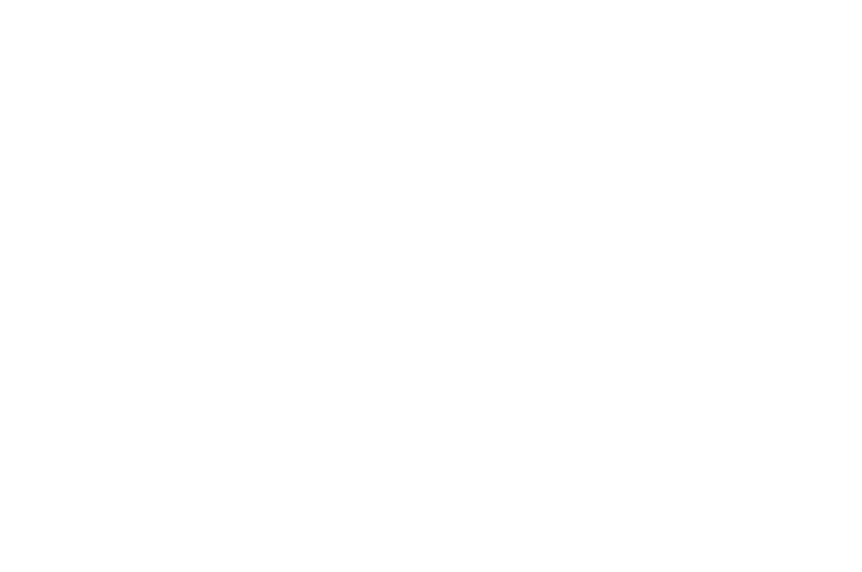 OFFICIAL SELECTION - South Europe International Film Festival - Valencia Edition - 2020.png