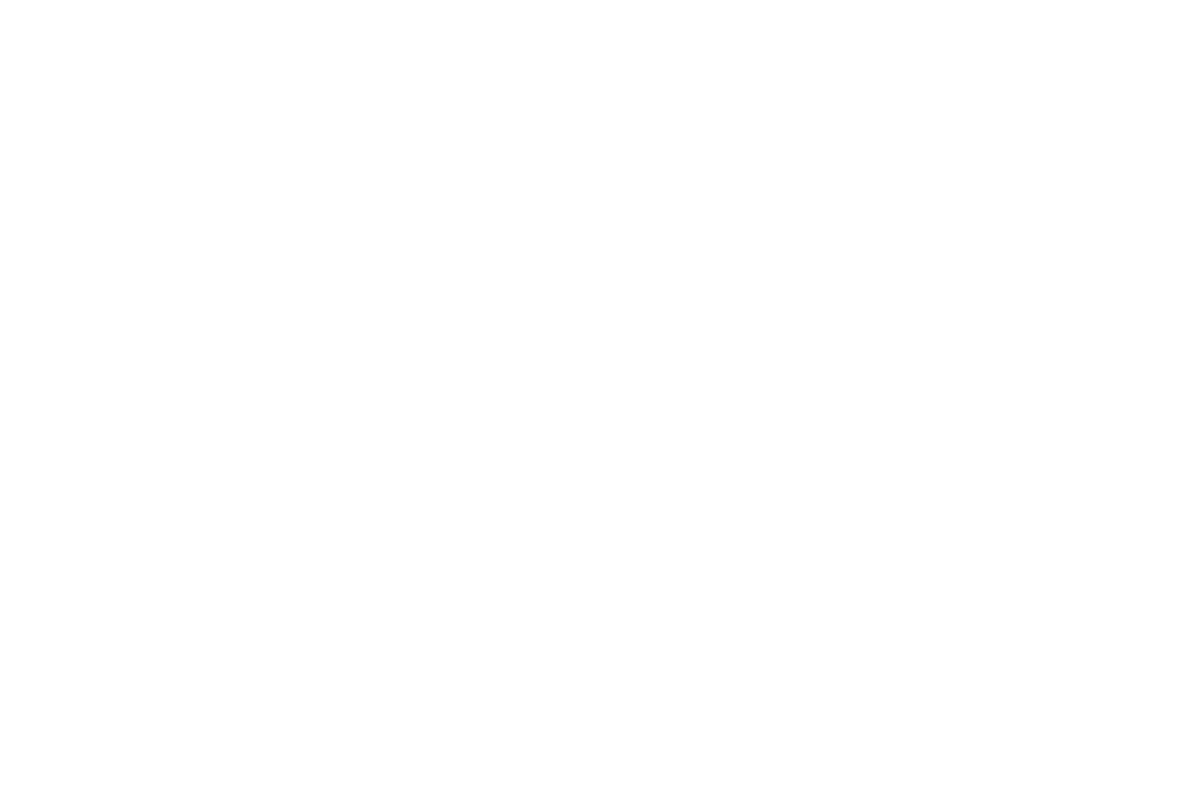 OFFICIAL SELECTION - Newark Film Festival - 2019.png