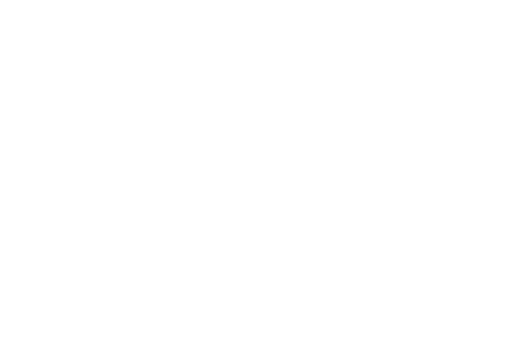 OFFICIAL SELECTION - Tenerife Film Festival - 2019.png