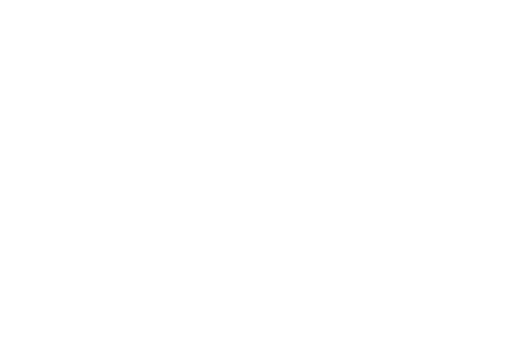 OFFICIAL SELECTION - Golden Nugget Film Festival - 2019.png