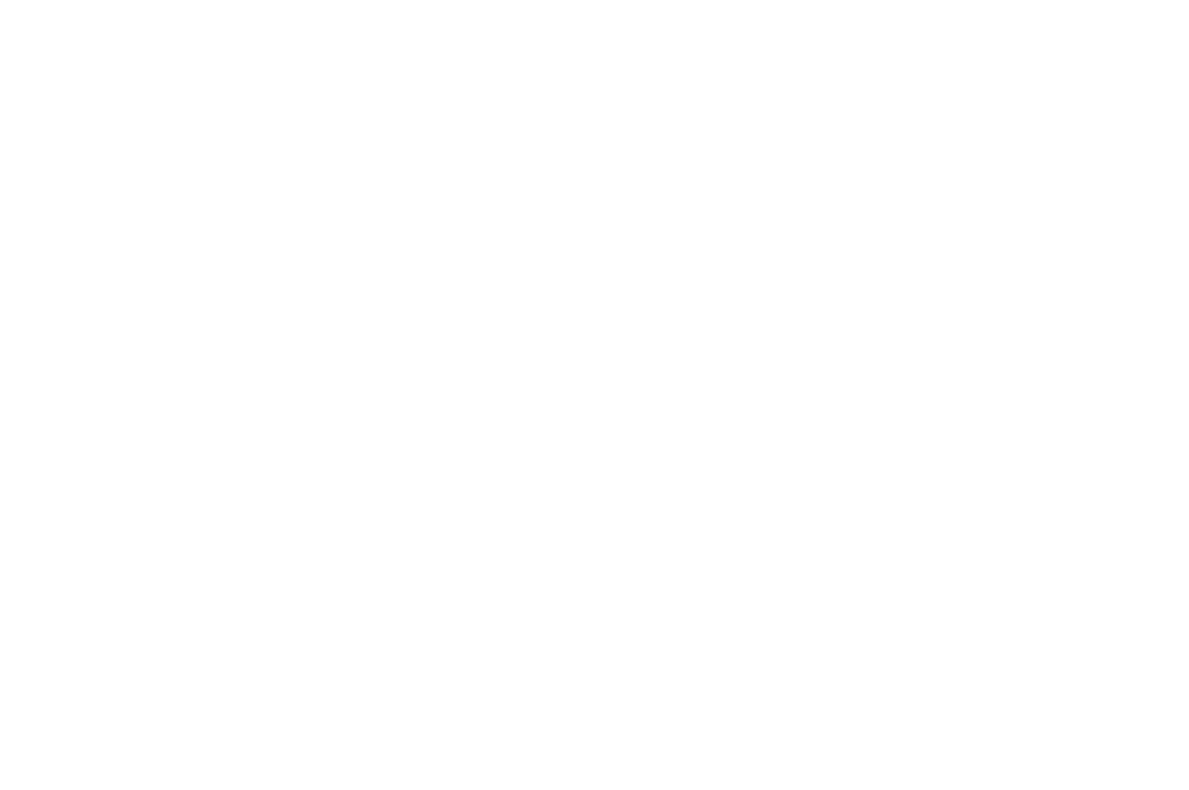 OFFICIAL SELECTION - Nashville Film Festival - 2019.png