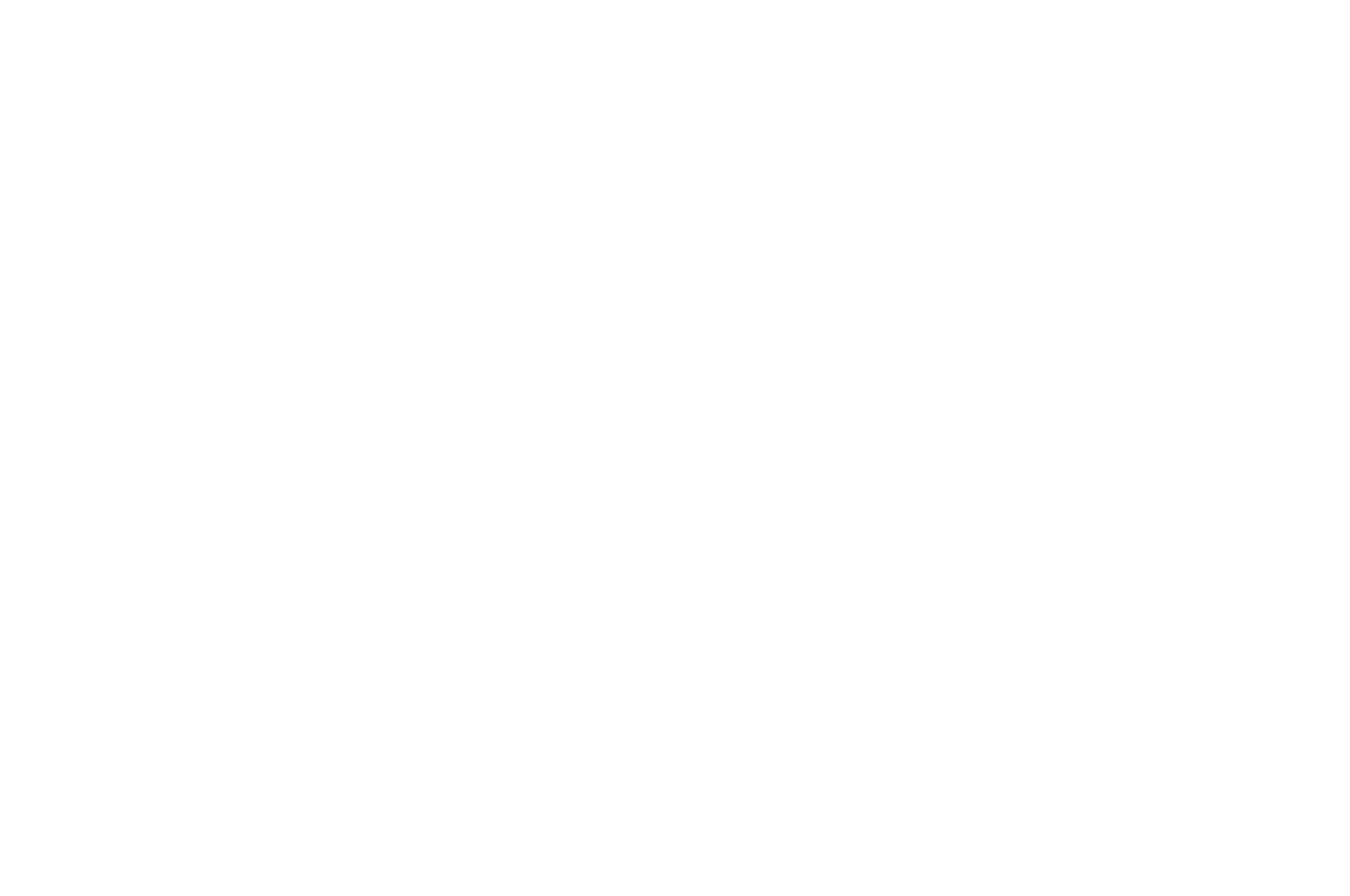OFFICIAL SELECTION - 2023 ARFF Amsterdam  International Awards - 2019.png