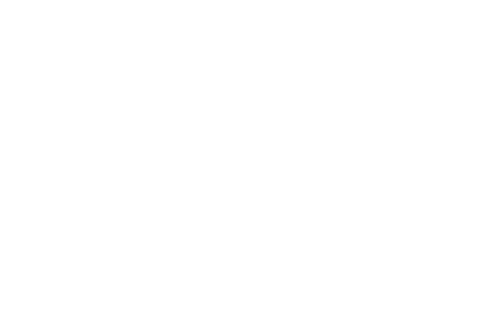 OFFICIAL SELECTION - Dumbo Film Festival - 2019.png