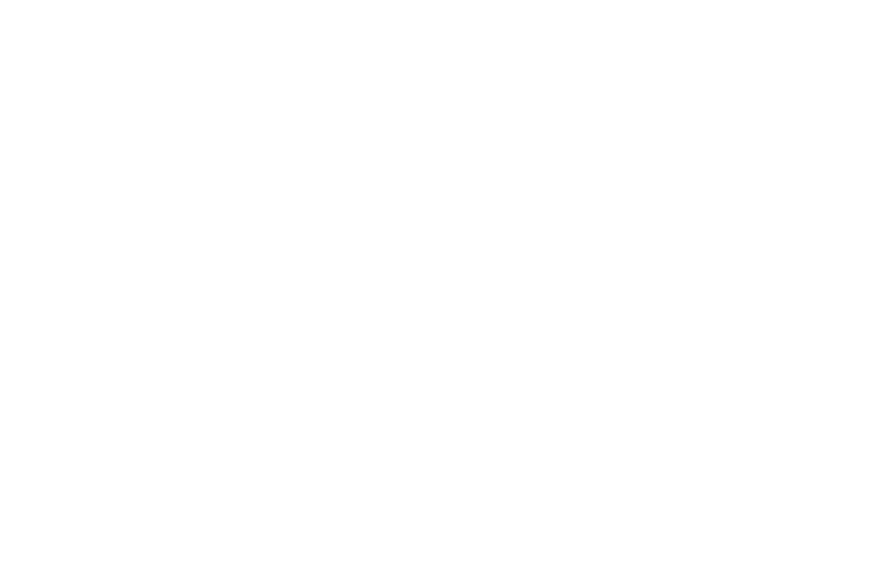 OFFICIAL SELECTION - West Europe International Film Festival - Brussels Edition - 2019.png