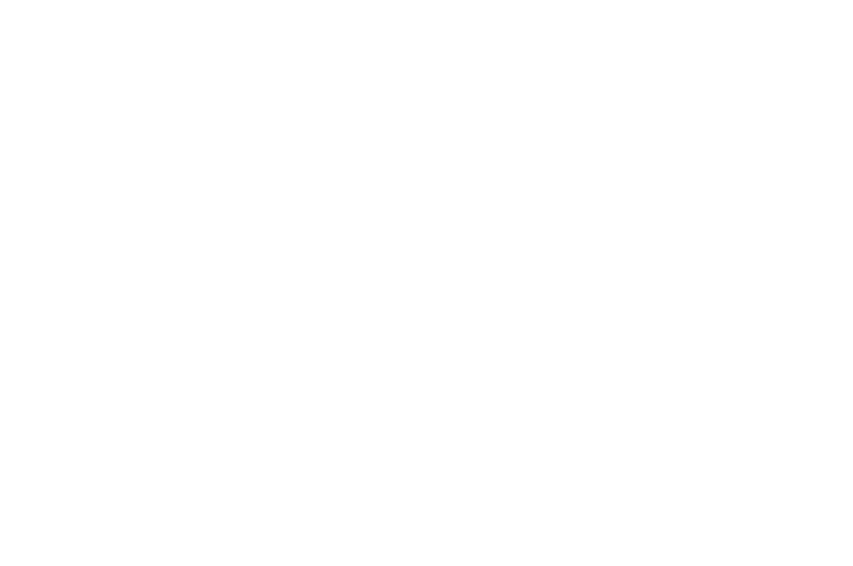 OFFICIAL SELECTION - Madrid International Film Festival - 2019.png