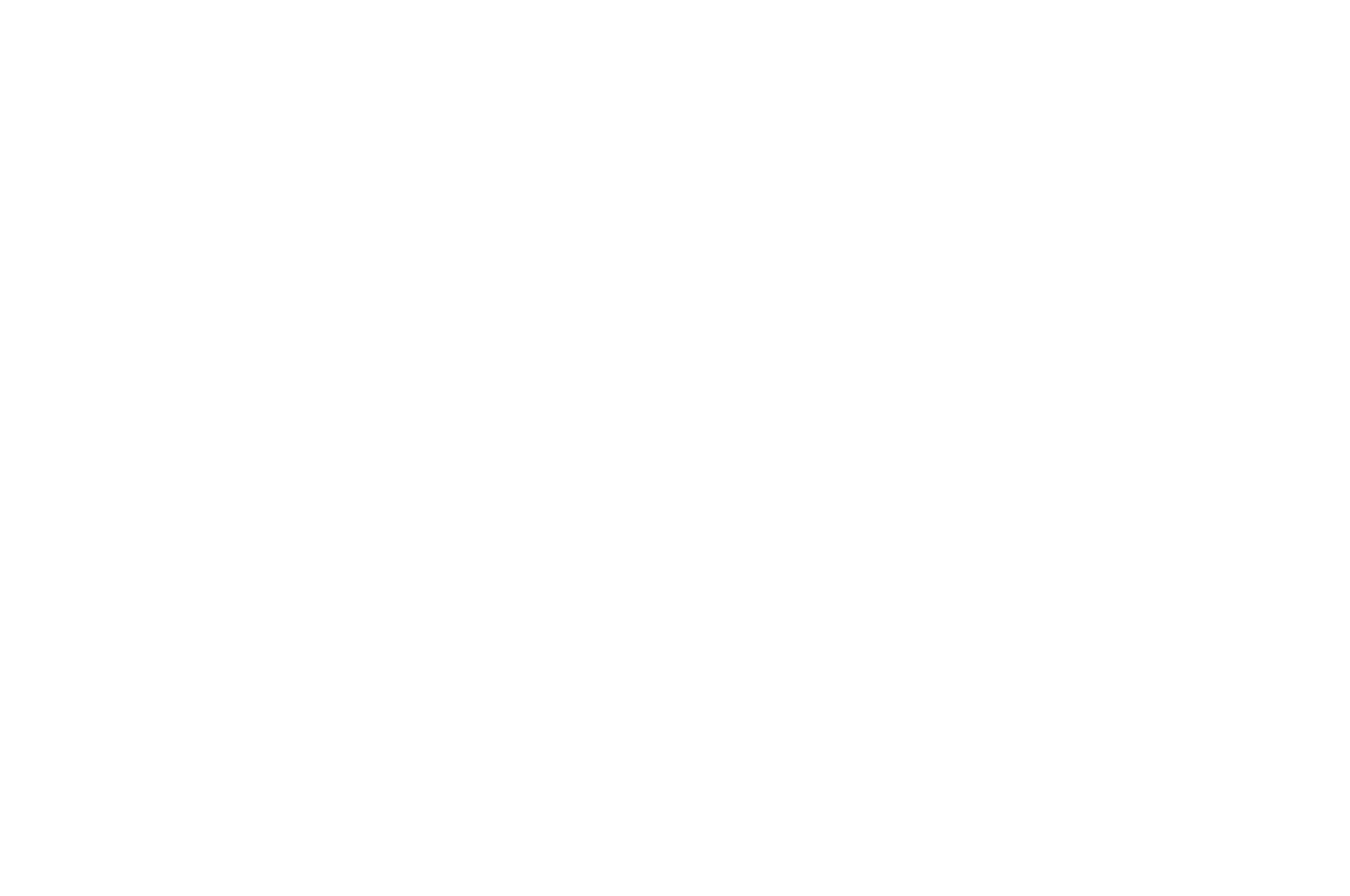 OFFICIAL SELECTION - South Europe International Film Festival Valencia - 2019.png