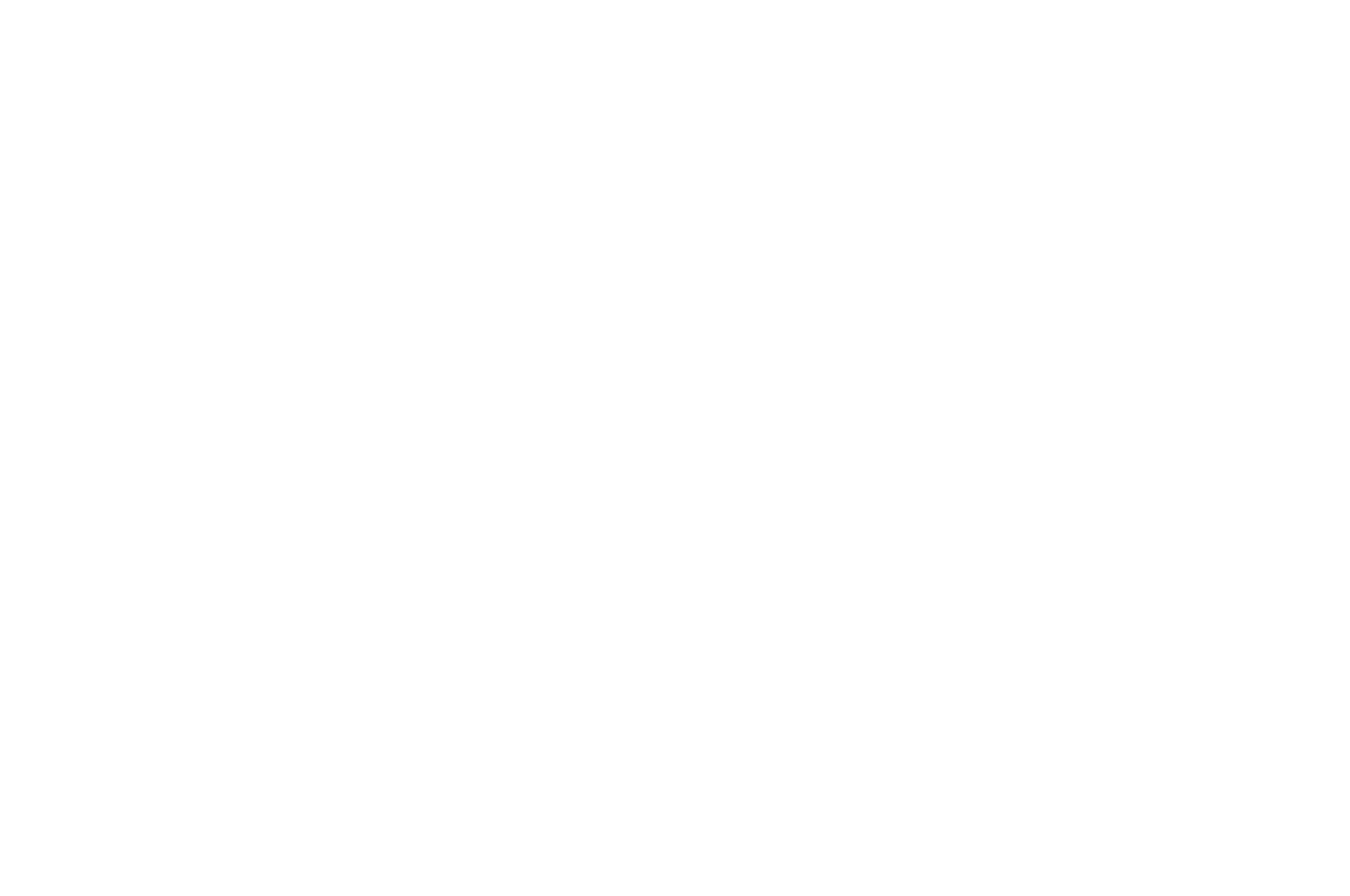 OFFICIAL SELECTION - WICA Film Festival - 2019.png