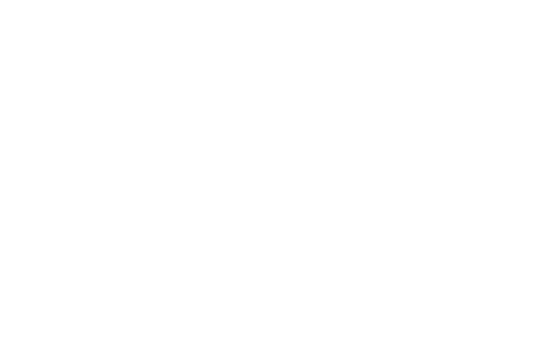 OFFICIAL SELECTION - Berlin Lift-Off Film Festival - 2023.png