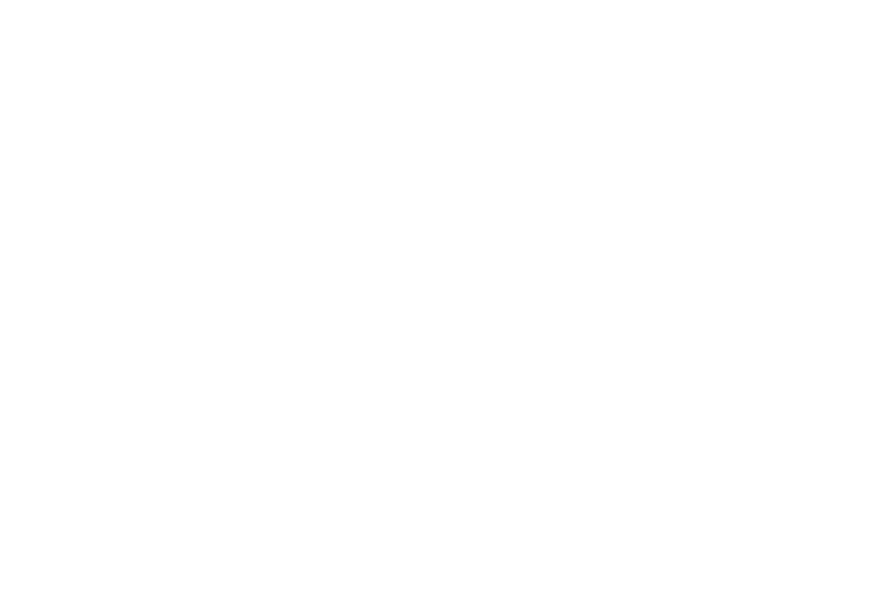 OFFICIAL SELECTION - Paris International Film Festival - 2023.png