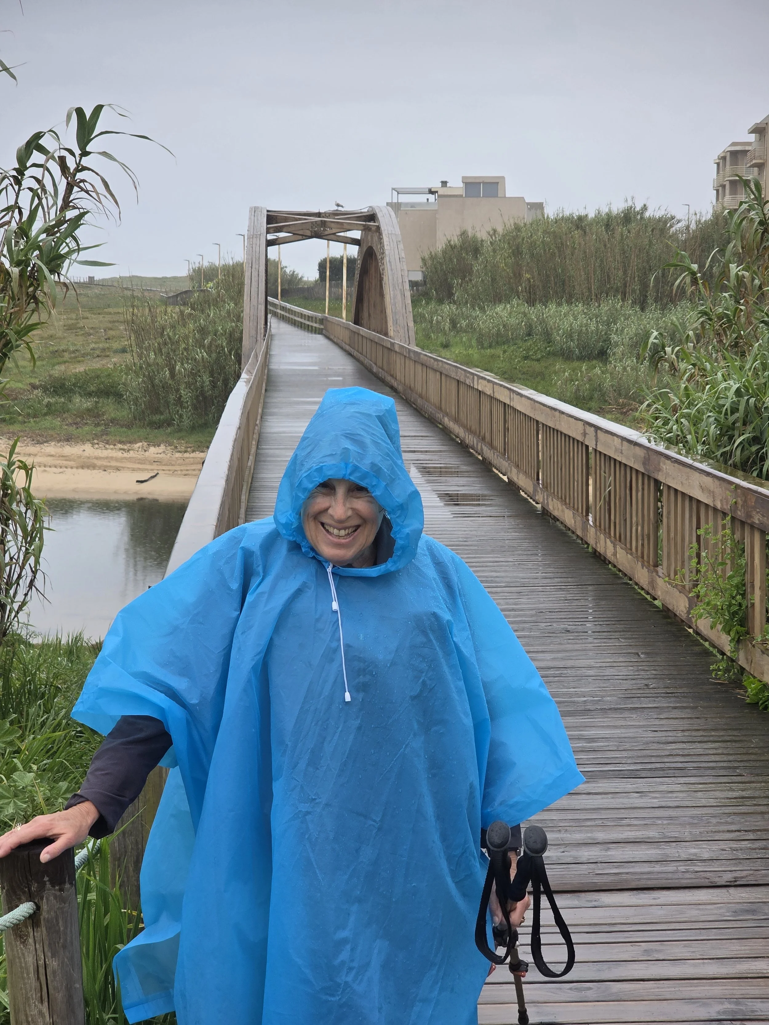 Tons of rain this day