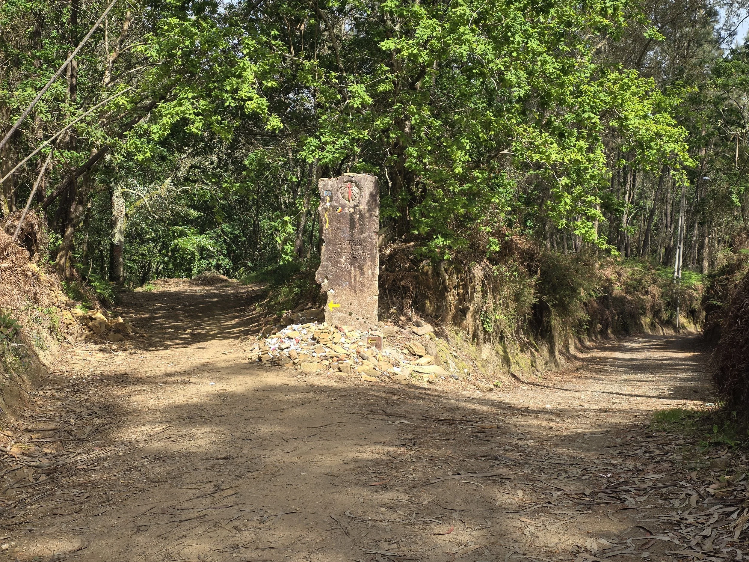 After hours, we finally came to this forested area. It was beautiful, relaxing and a great place to chill. 