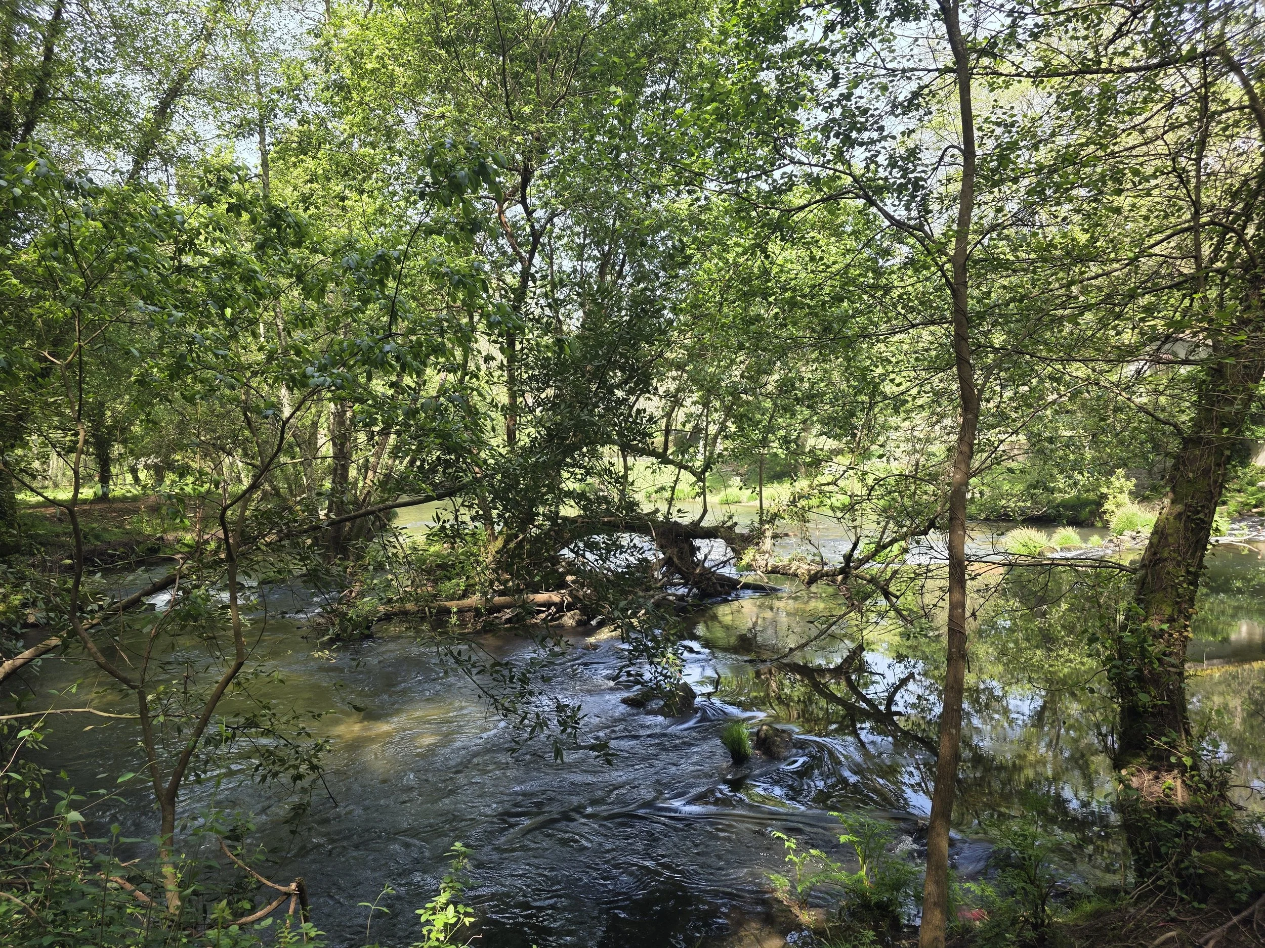 Stream with bridge.
