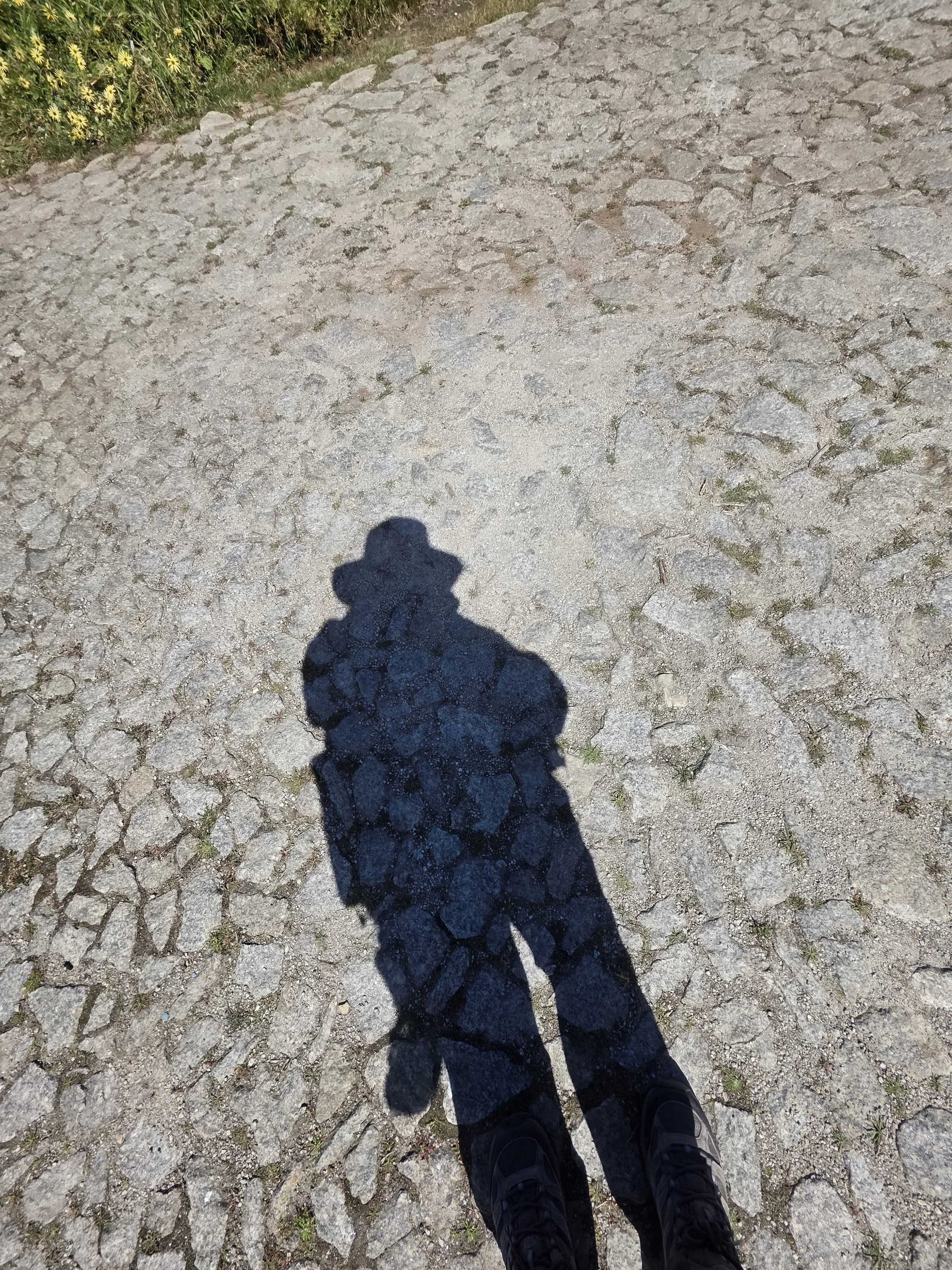My shadow on the cobblestones