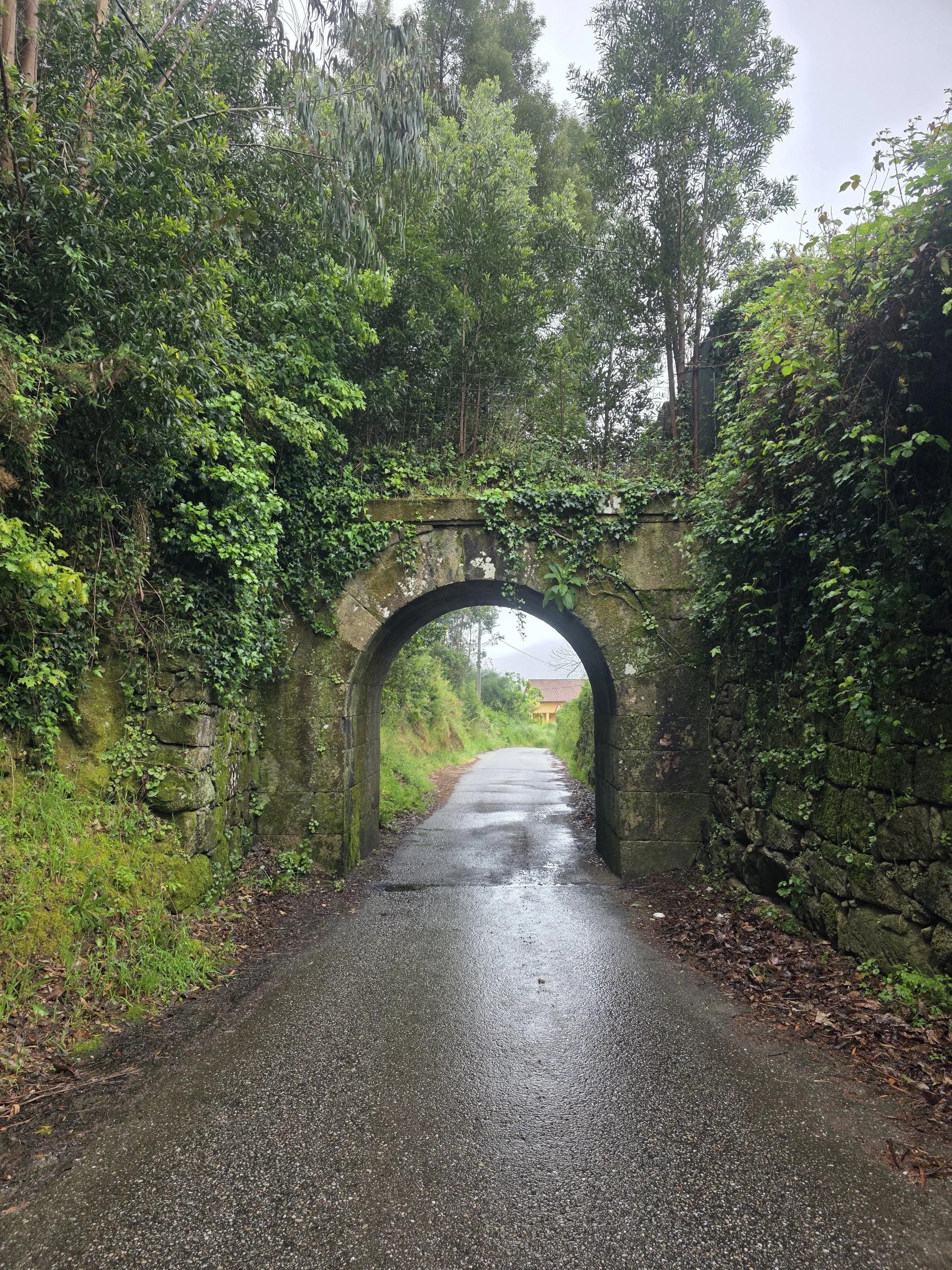 Part of the beautiful walk into Vigo