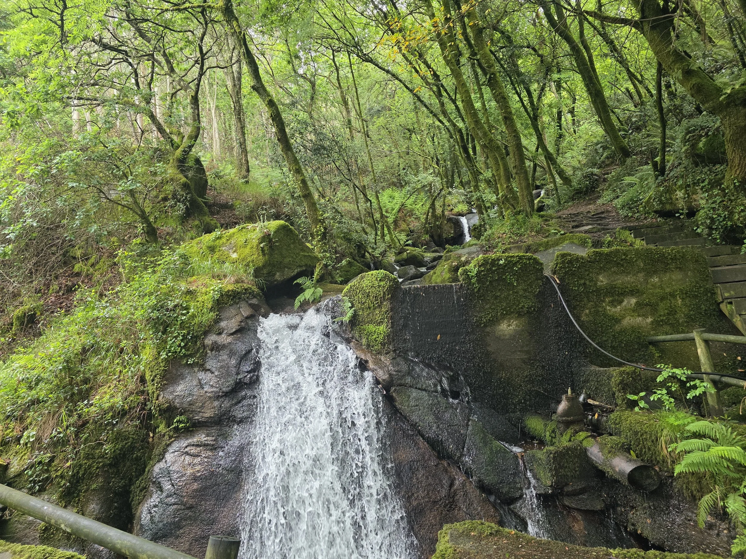 20260415_115702.jpg