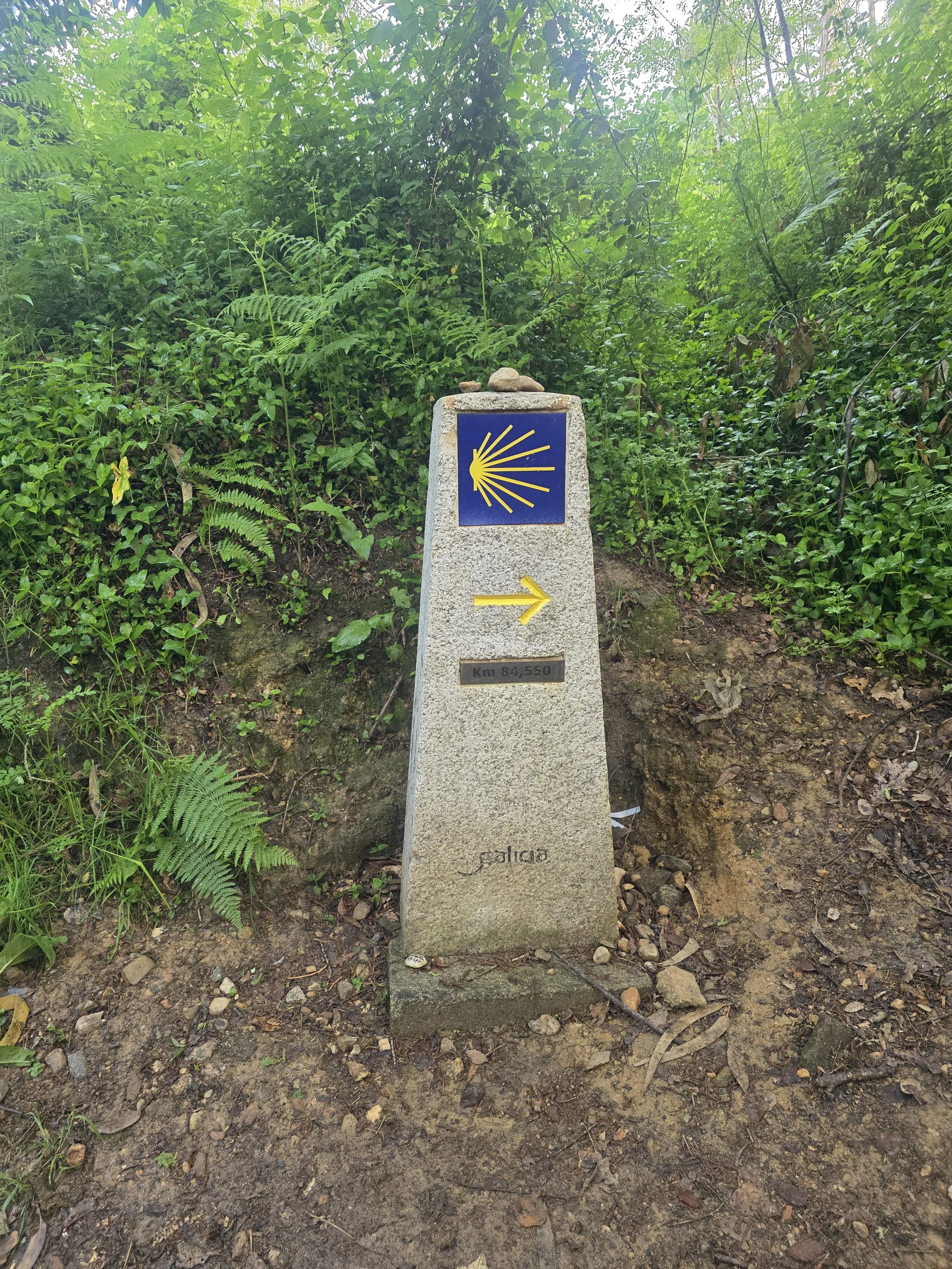 20260416_094042.jpg
