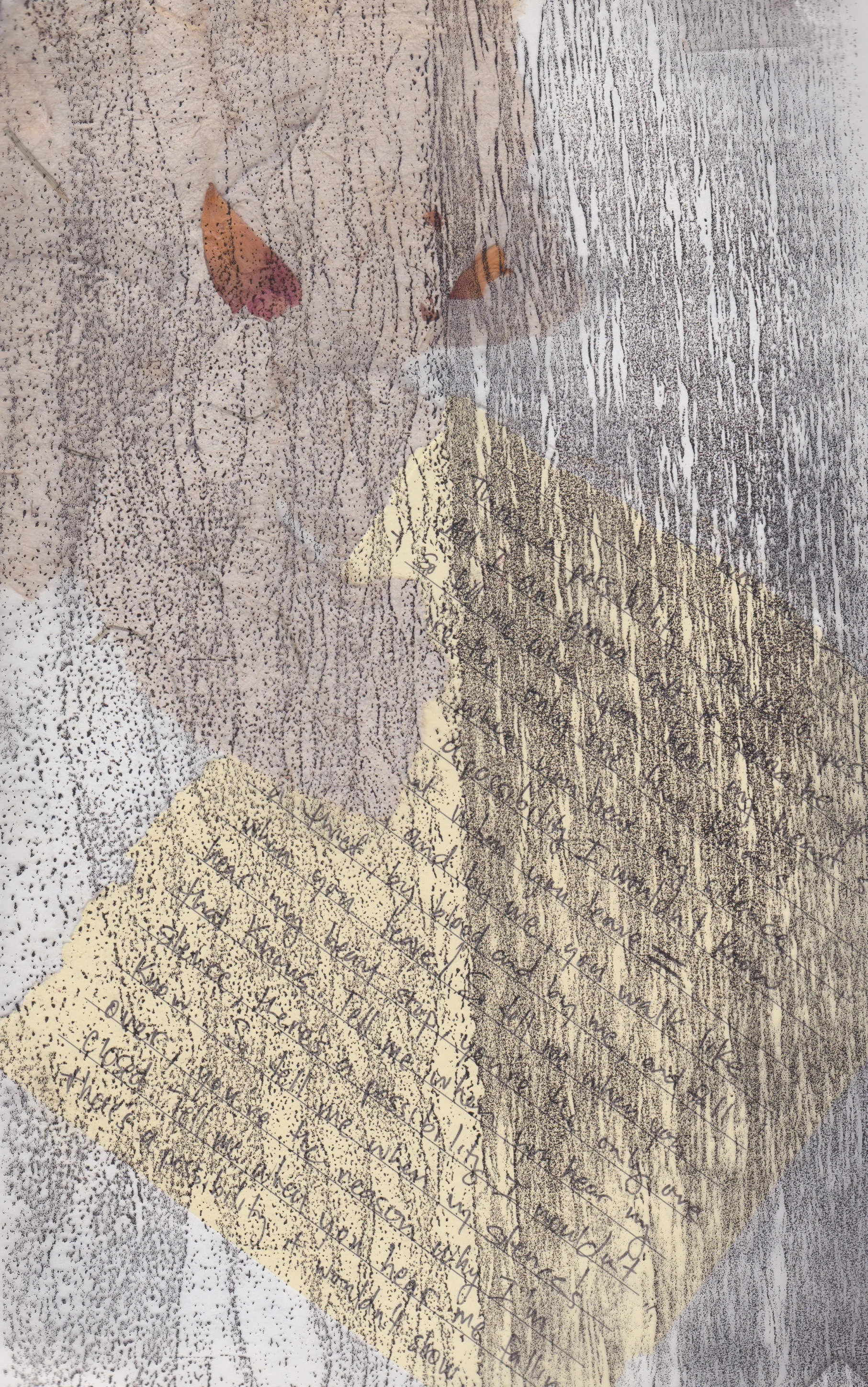 Mixed Media Collage. Paper.Ink.Pressed Flowers.Transparency. 2015