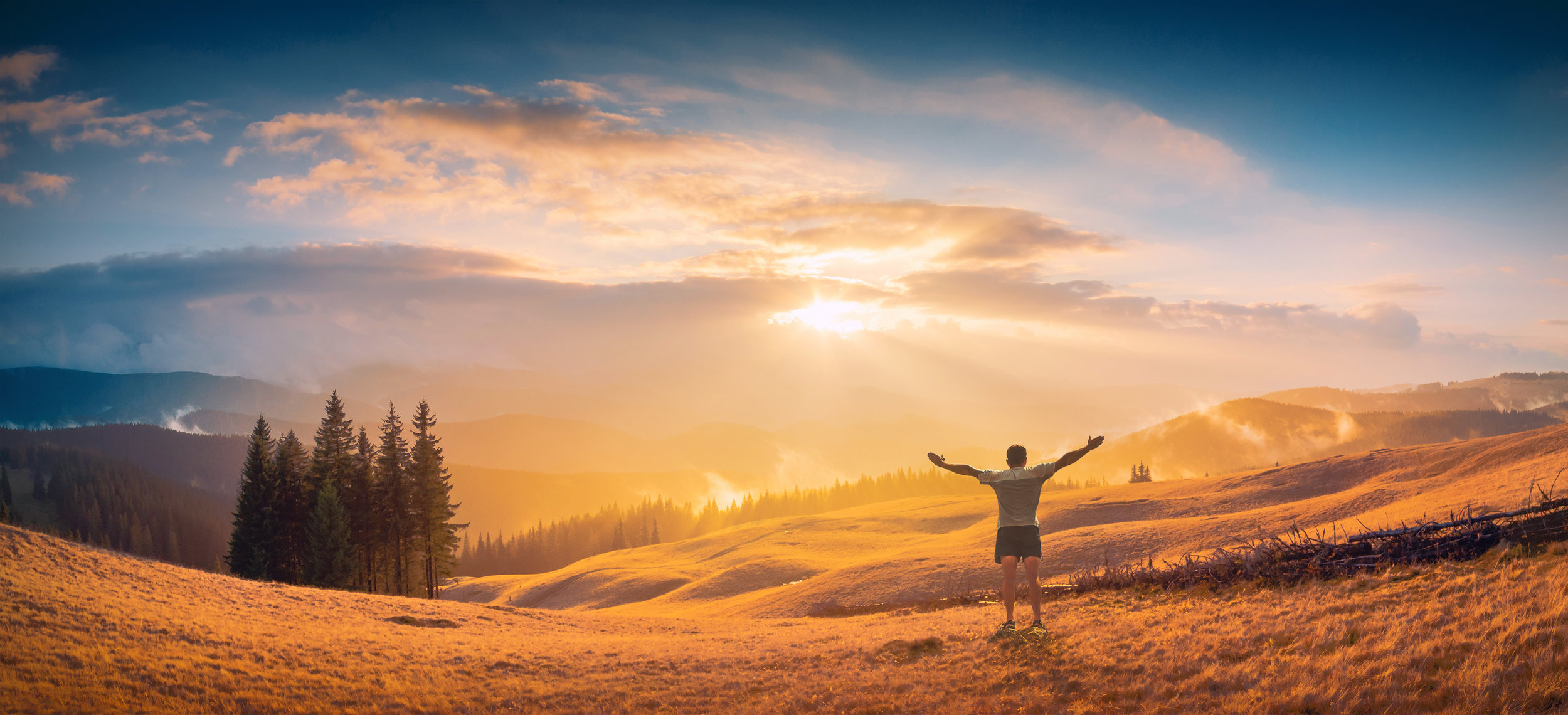 Thank you for your trust in us