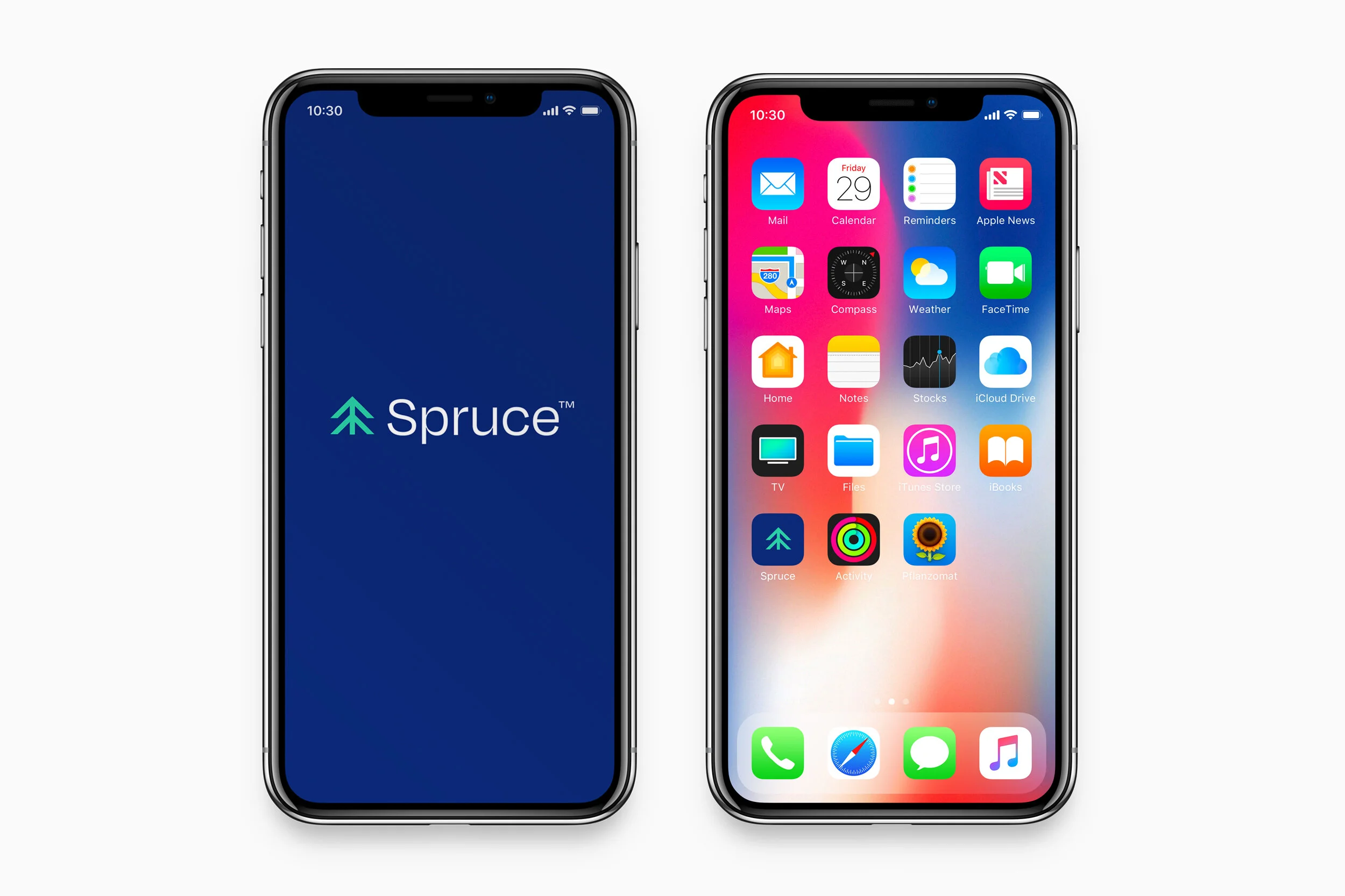 Spruce_6.jpg
