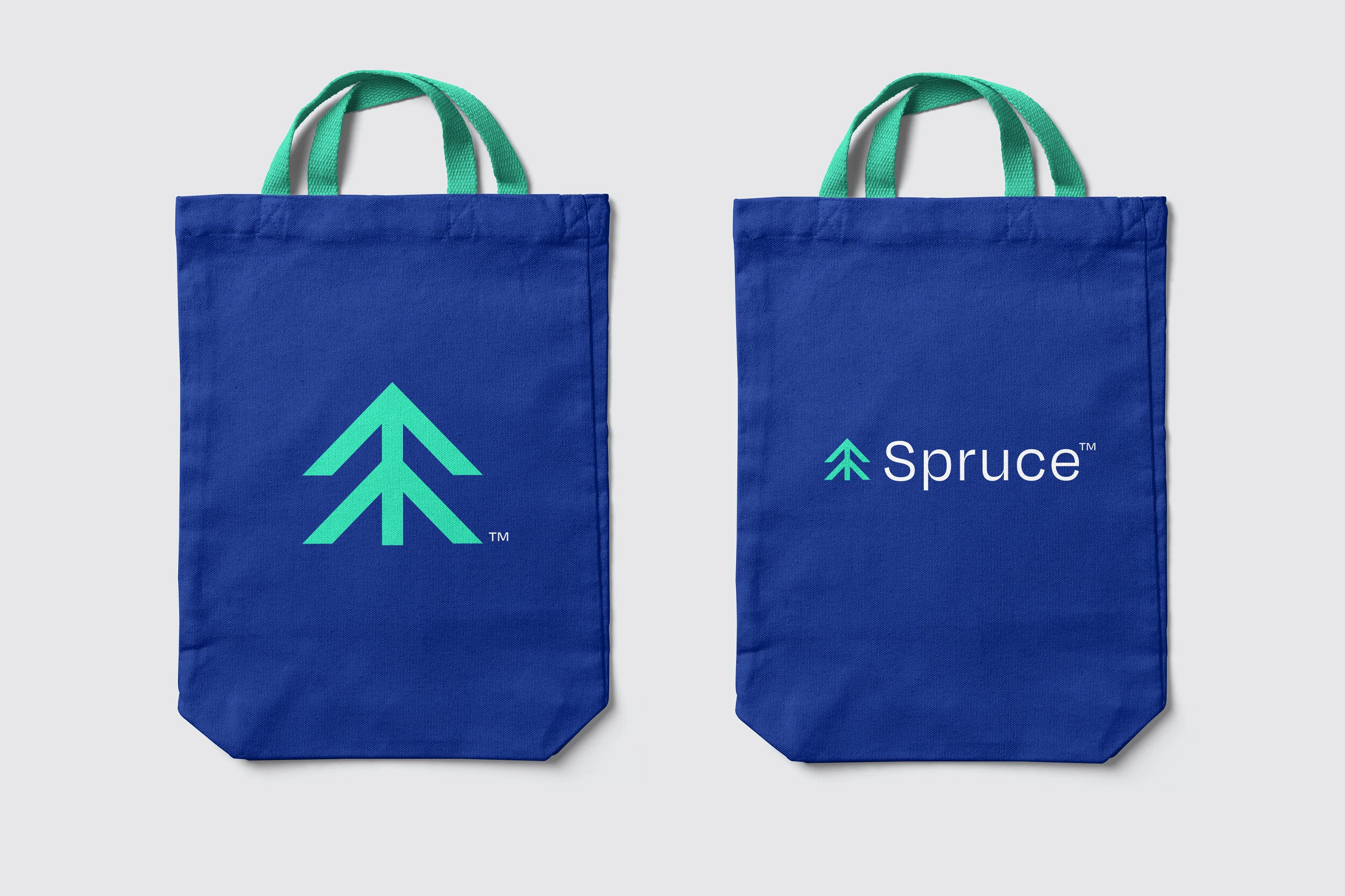 Spruce_8.jpg