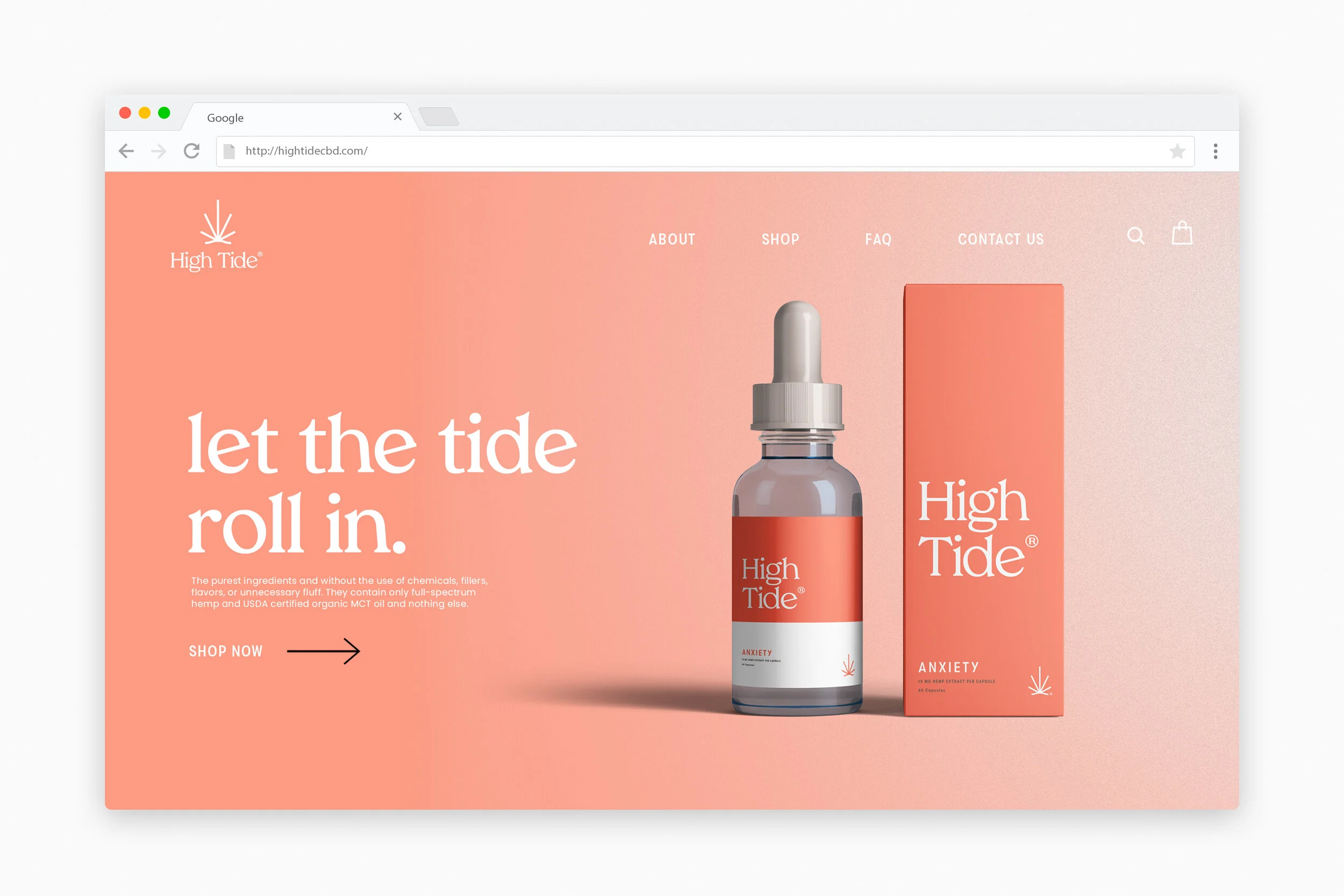 High_Tide_Website_1.jpg