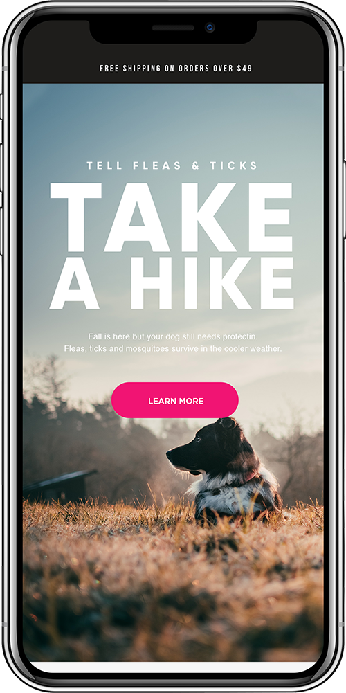 TakeaHikeEmail.png