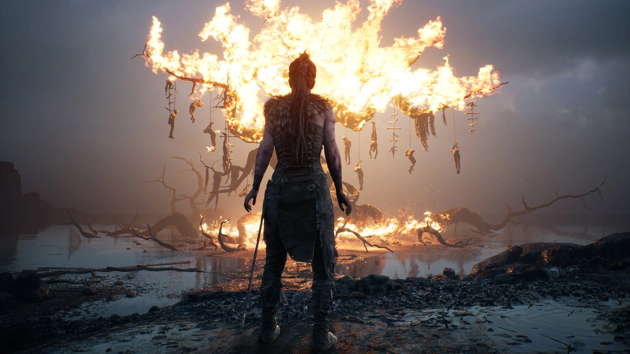 Hellblade Story.jpg