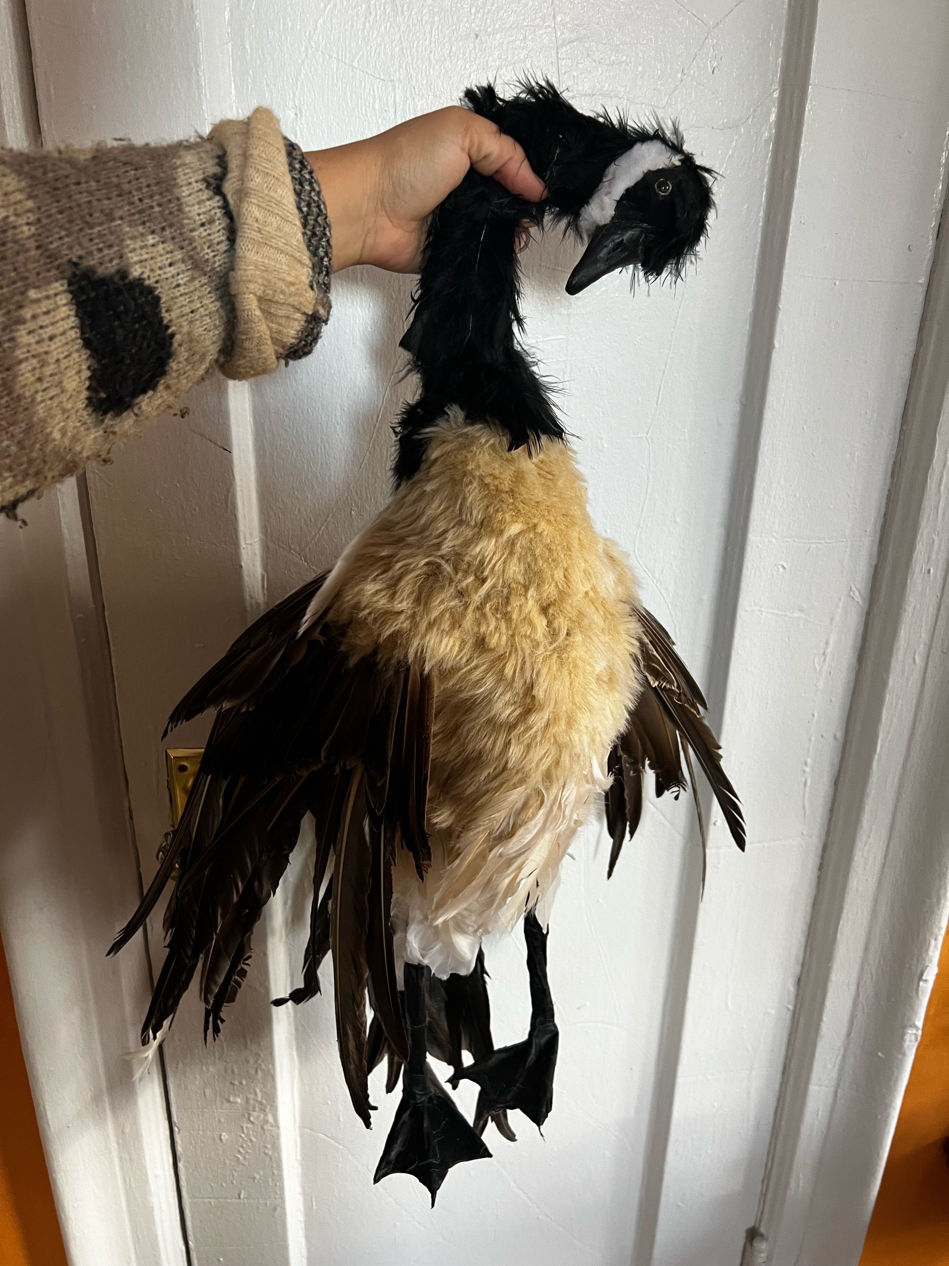 Dead Goose