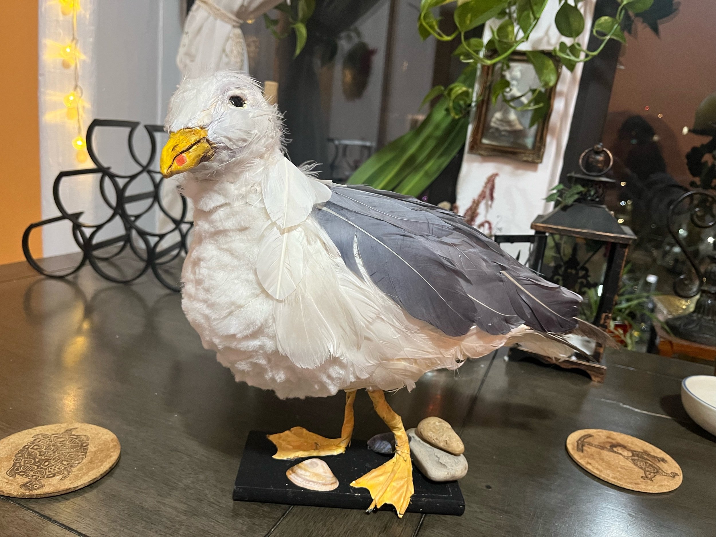 Taxidermy Seagull for The Seagull/Woodstock NY