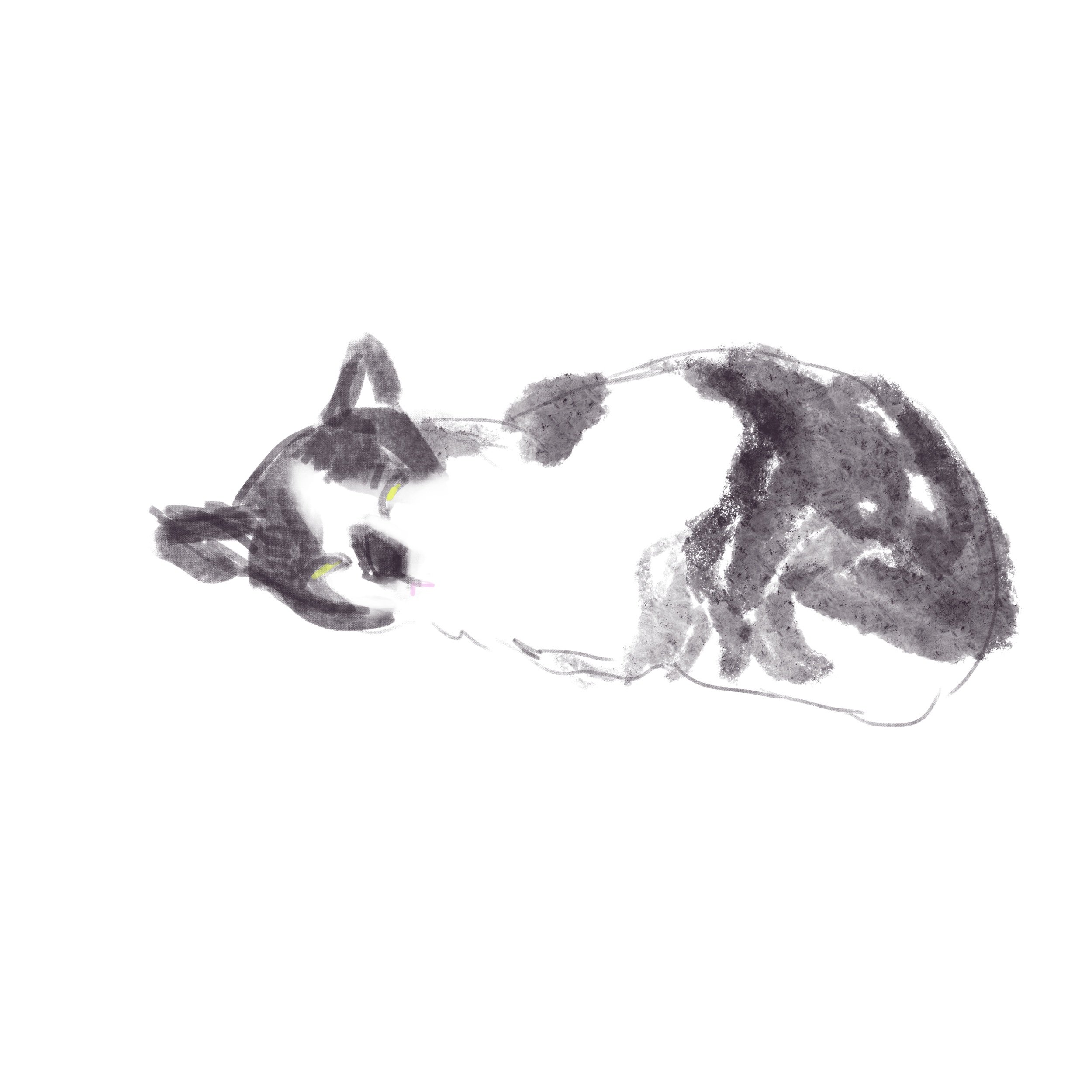 IMG_0119.jpeg