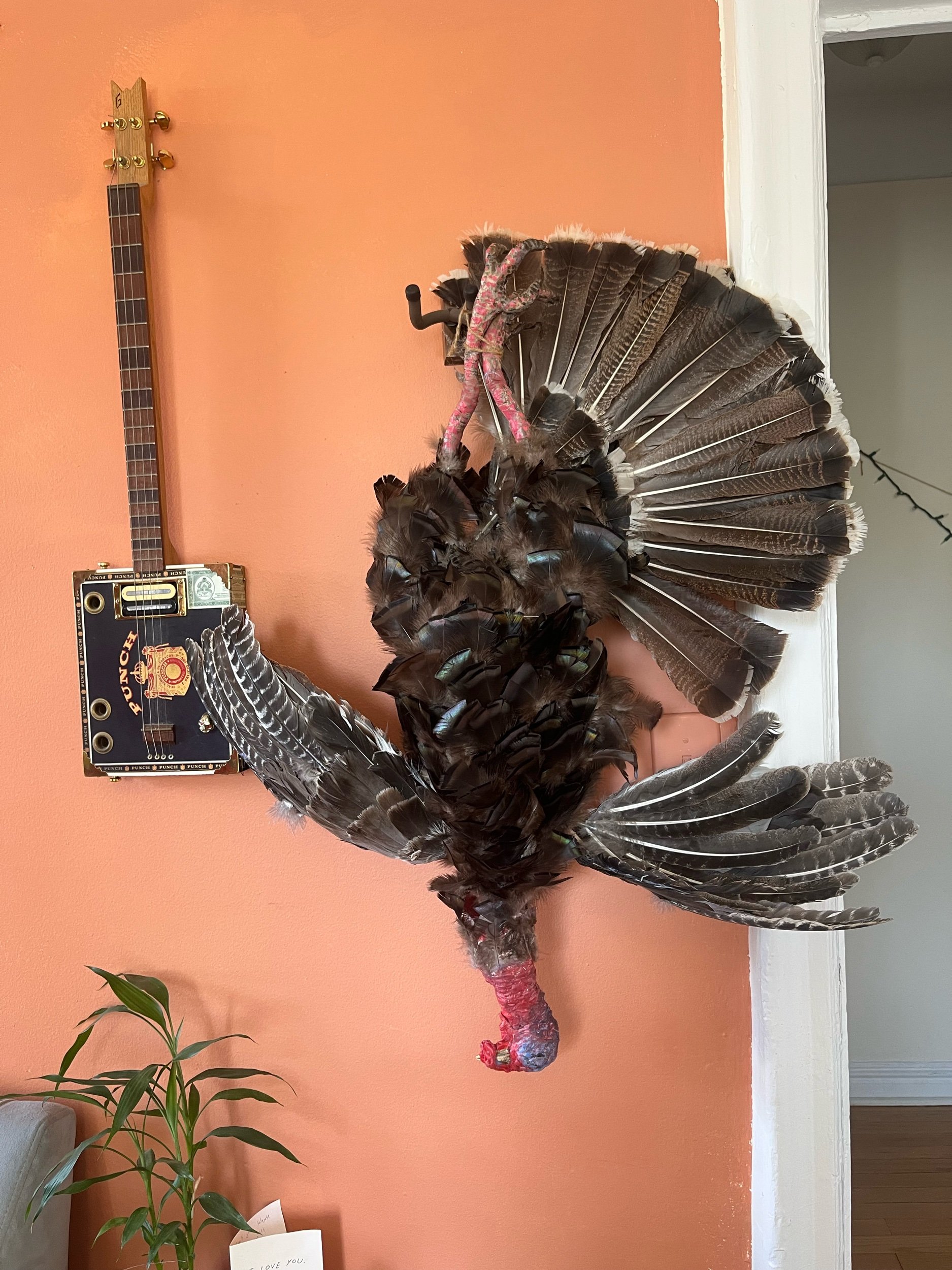 Pluckable Turkey