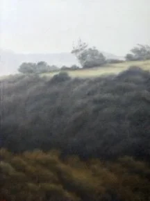 s_hutchison_cascading_grace_w.jpg