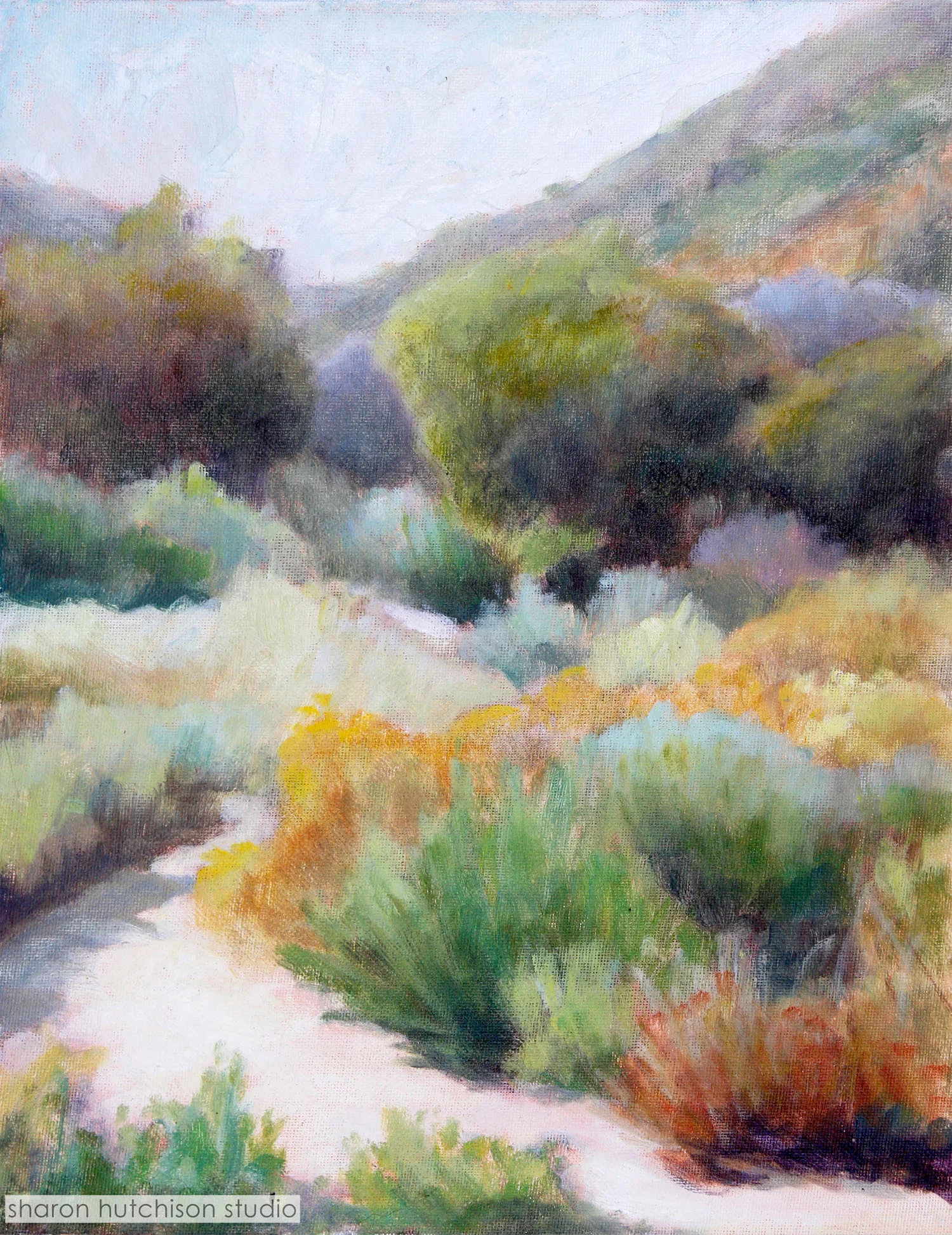 "Laguna Wilderness Park"