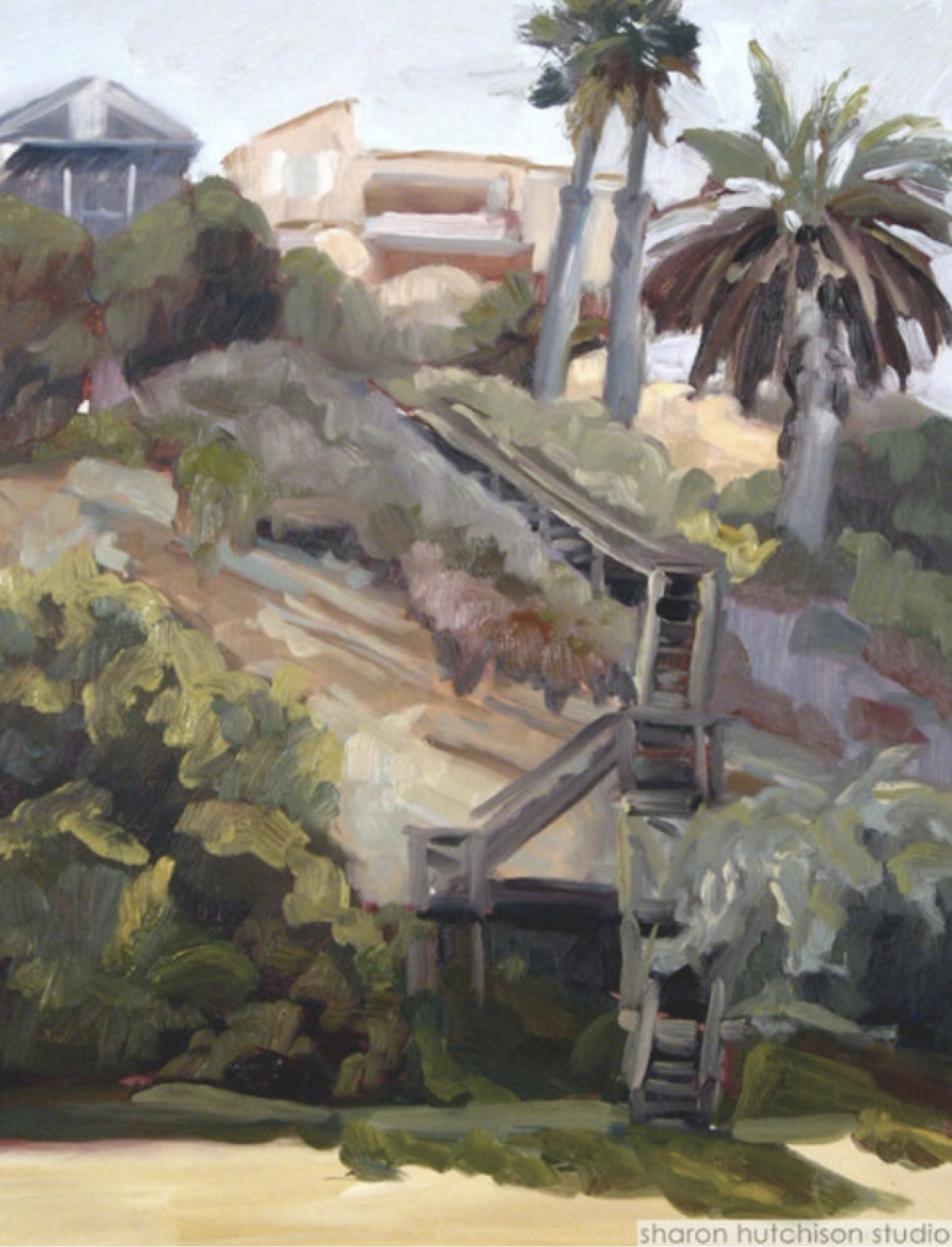 Browse My Work Laguna Cliffs.png