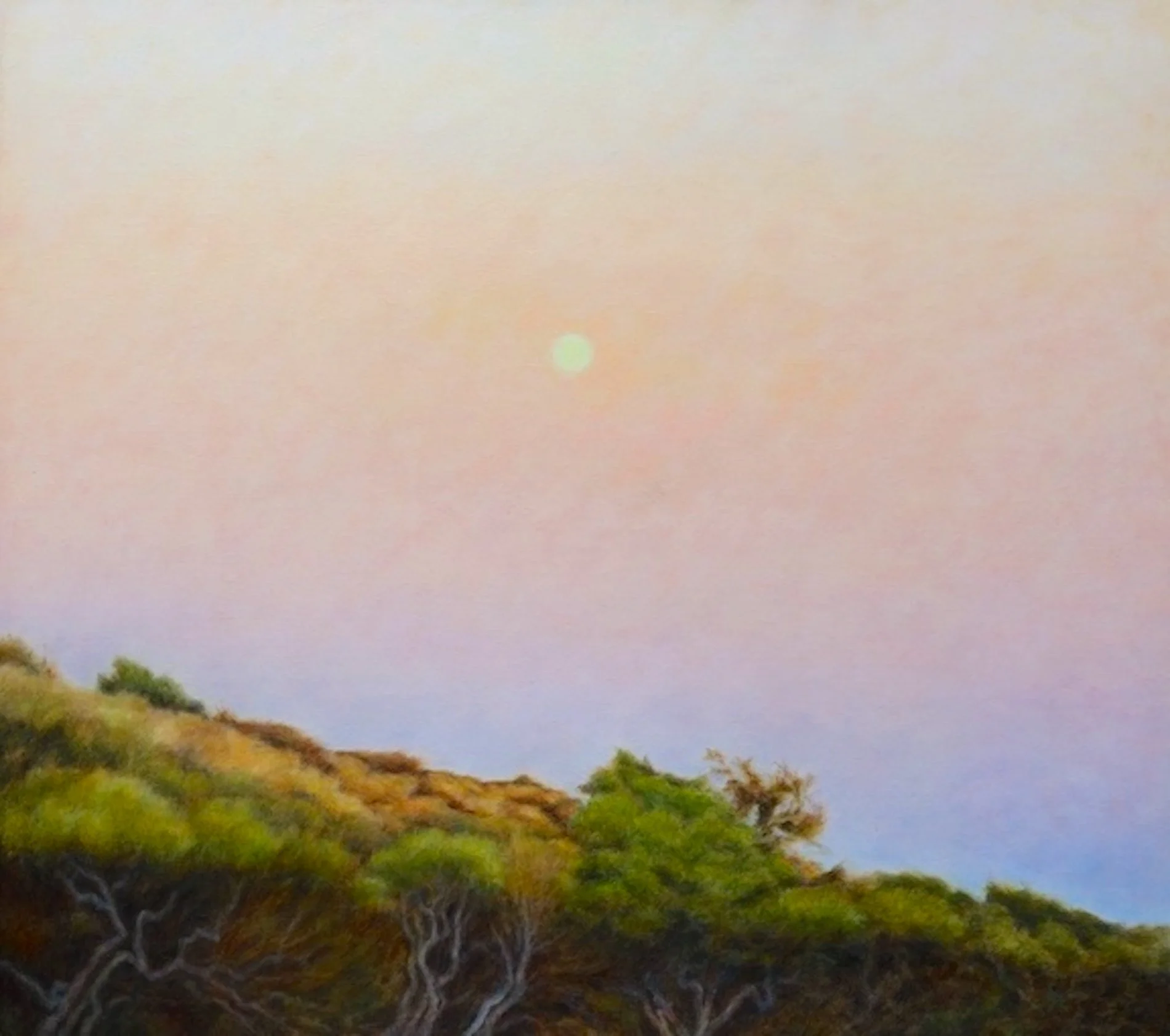 s_hutchiosn_summer_moon_w.jpg