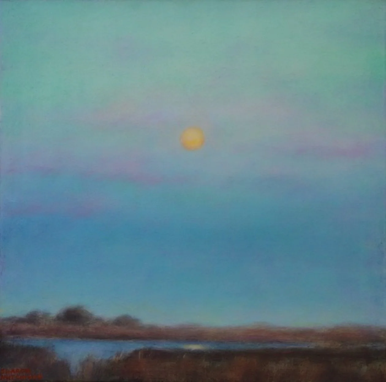 s_hutchison_moonlight_above_talbert_med_2 copy.jpg