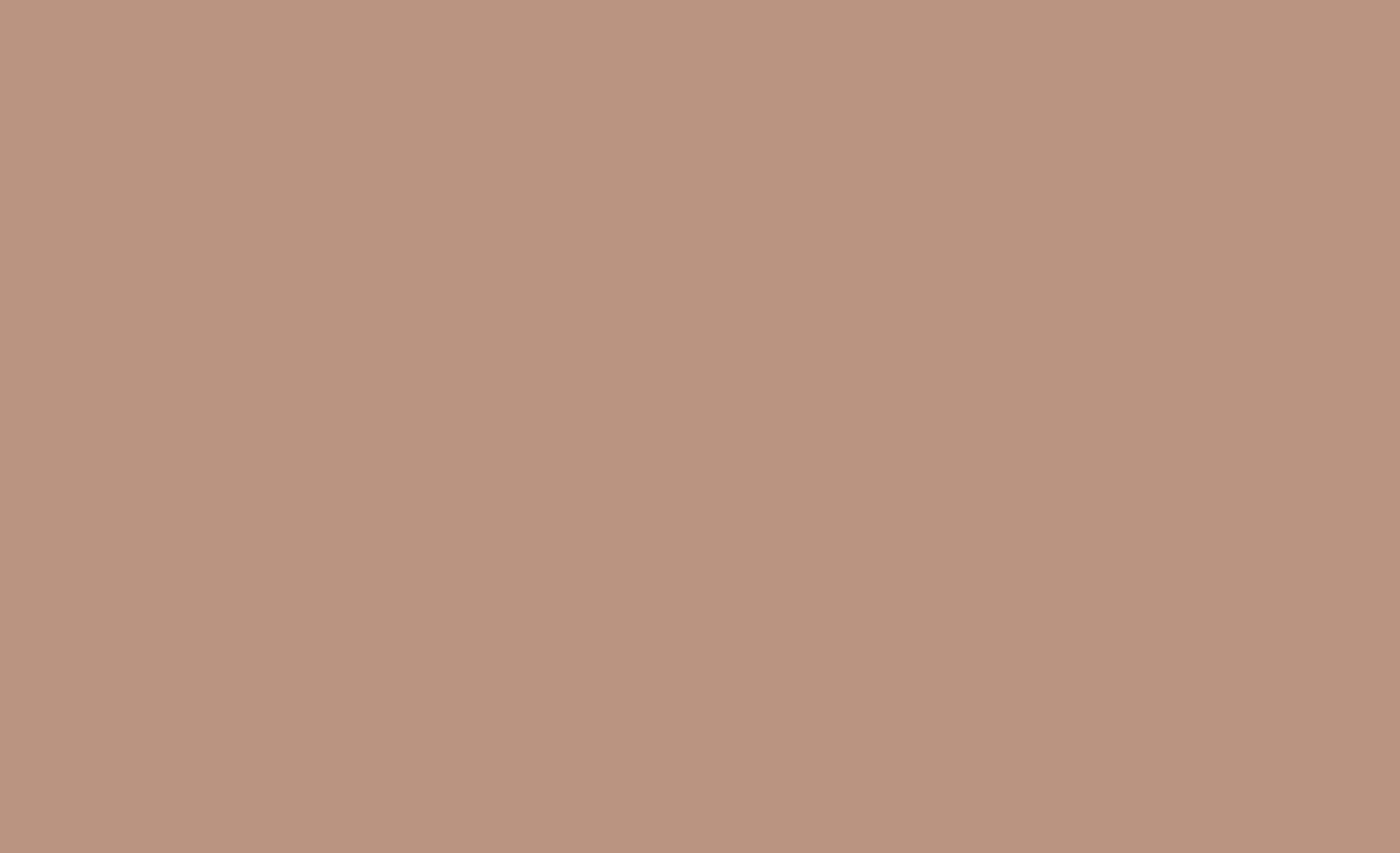 Sharon Hutchison Clay Background Color.jpg