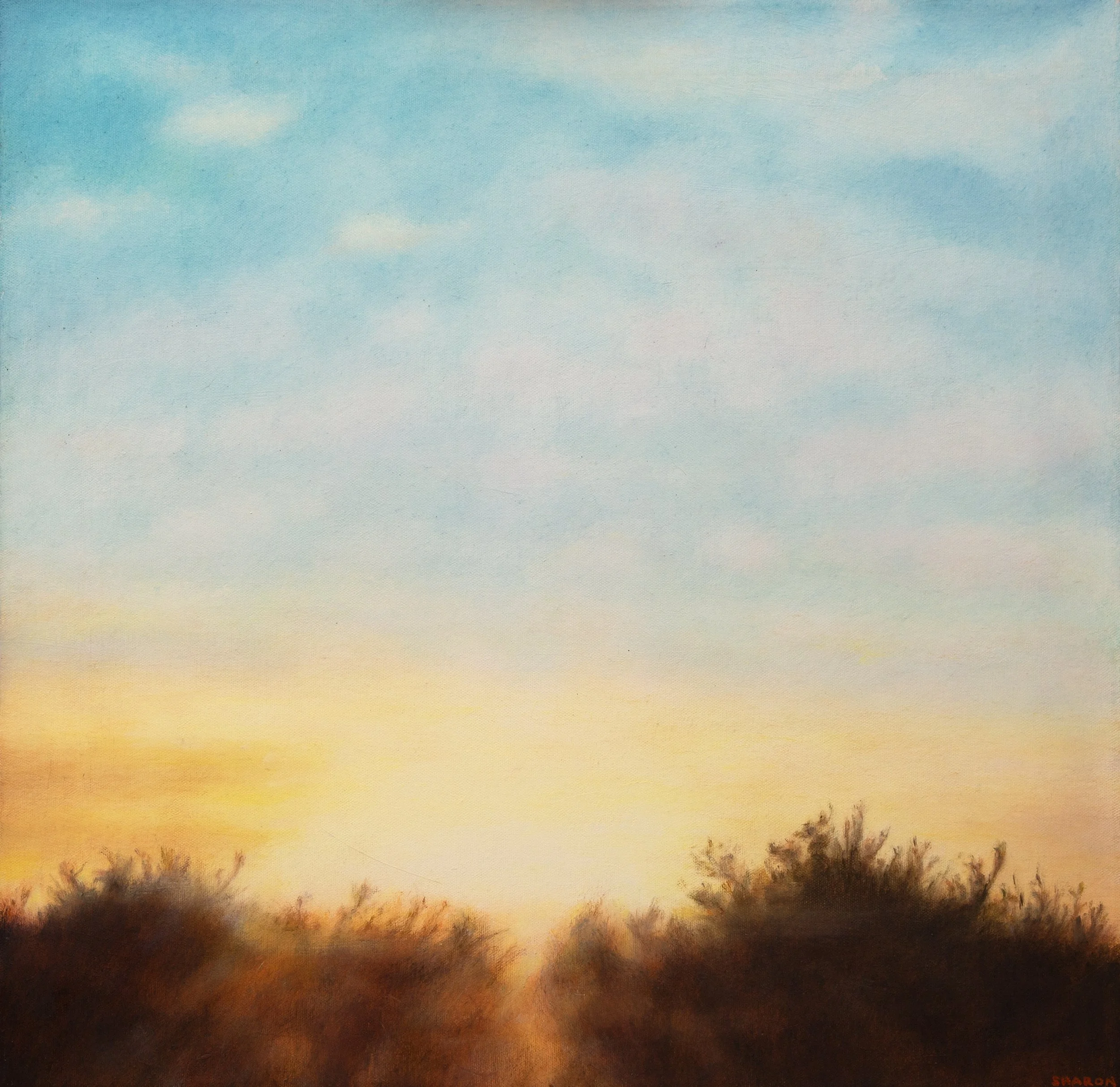s_hutchison_sunspot_w.jpg