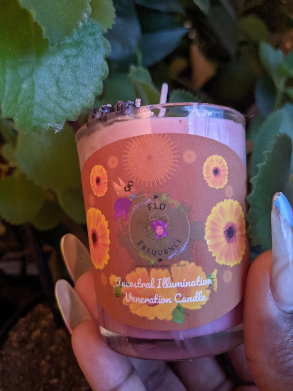 Ancestral Illumination Vela