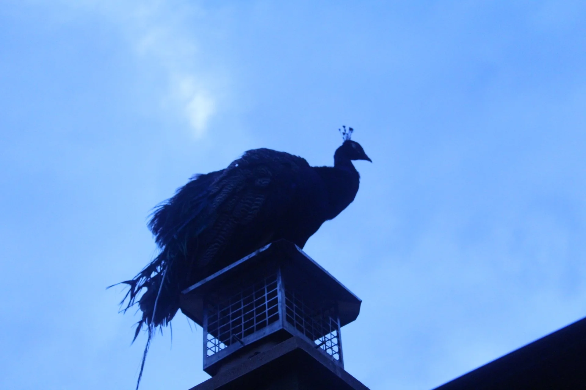 12selves astrology & soul retrieval journey