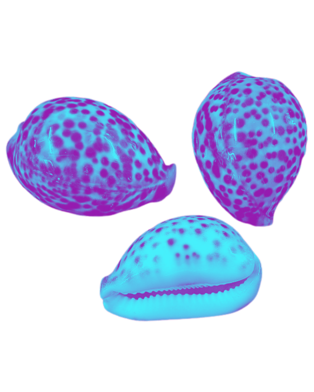 (ir)regular degular reading