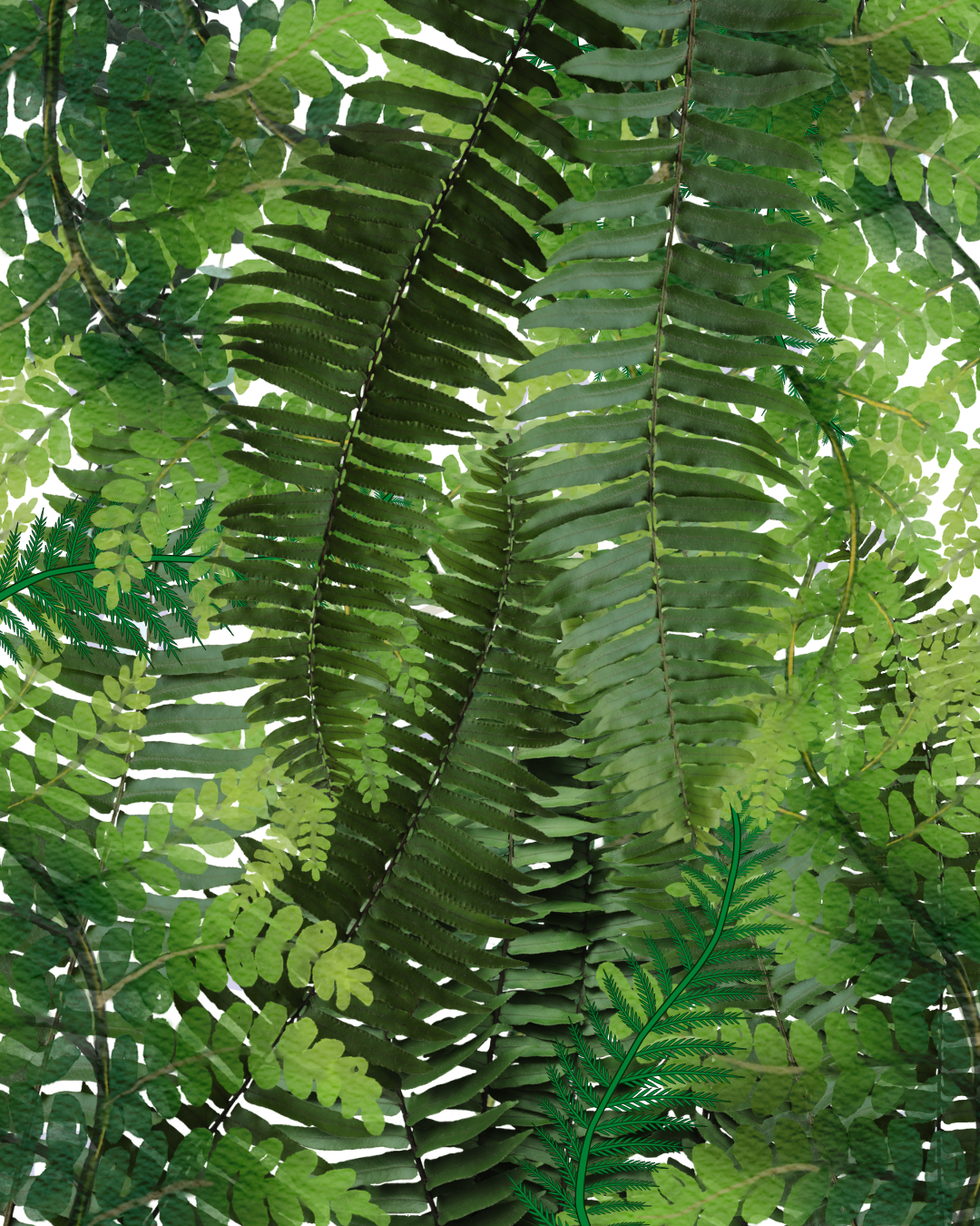 aura aurora: sacred sound journeys