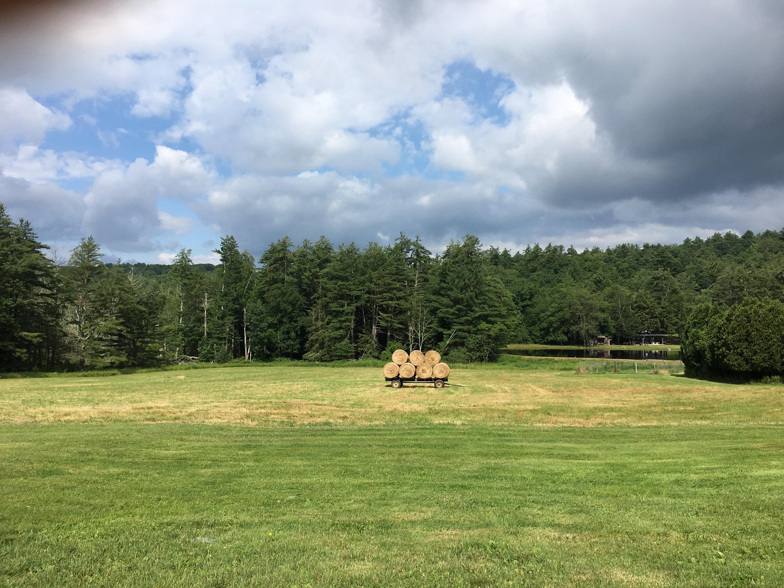 hay bales on farm.jpg