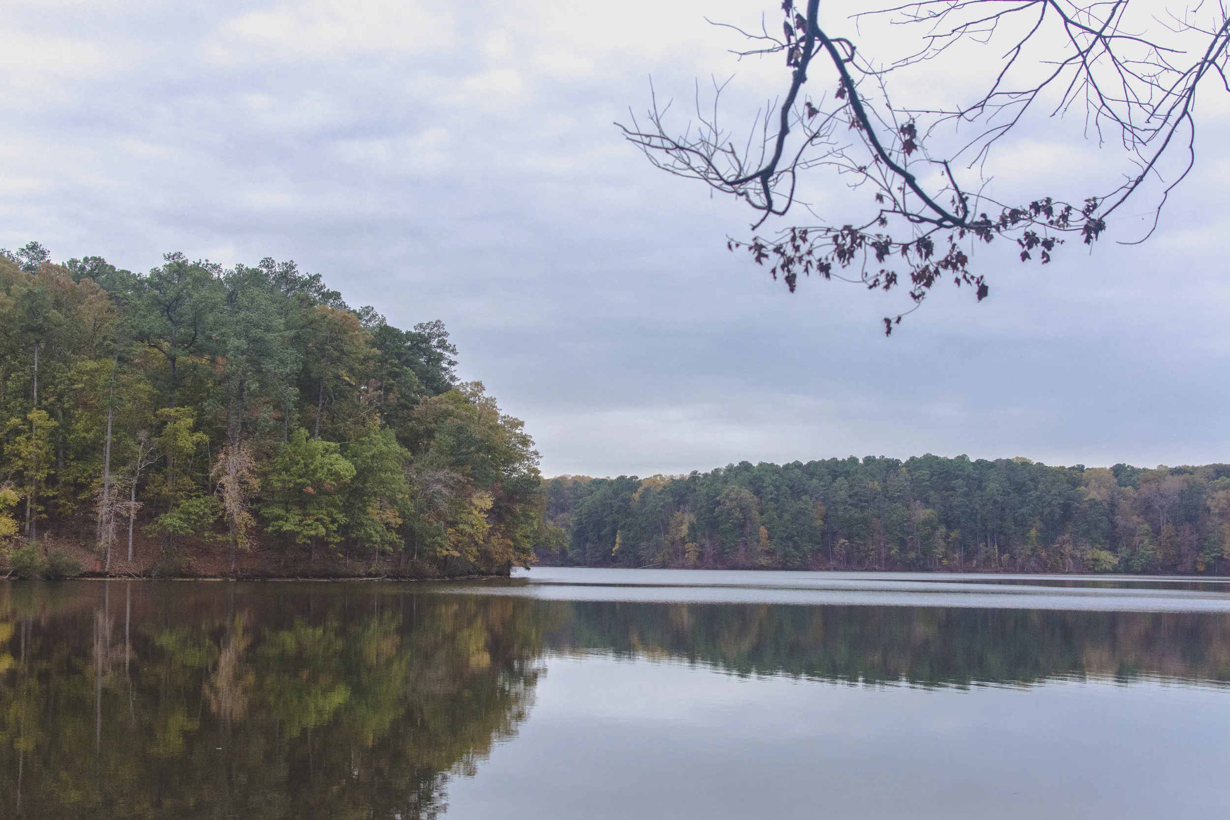 DSC_0015.JPG