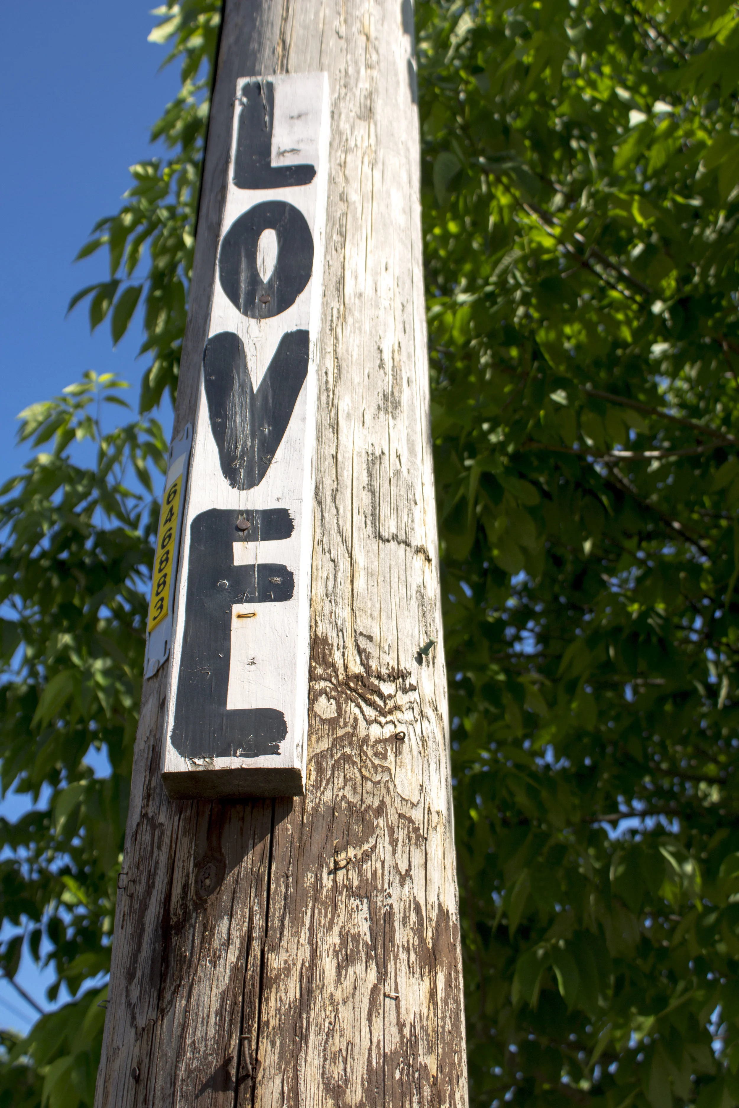 Love is Home.jpg