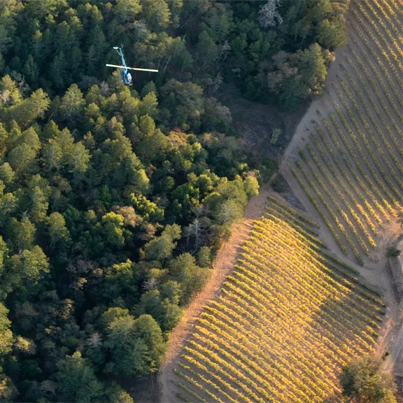 helicopter.jpg