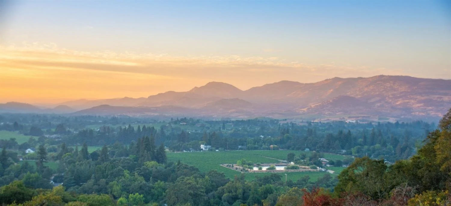 NAPA.jpg